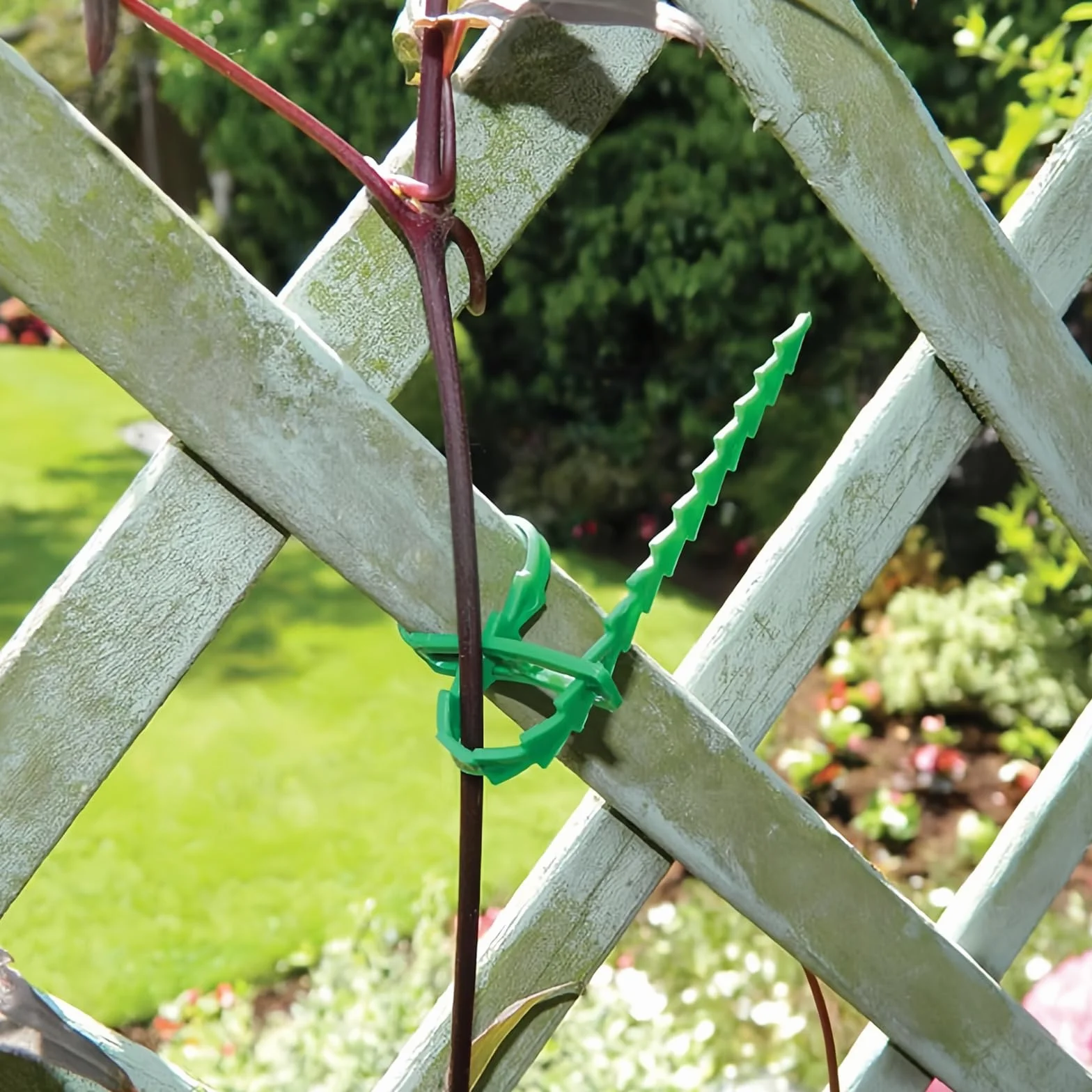 Opaski do roślin pnących 100 szt. zielone plastikowe wielokrotnego użytku 16,8 cm