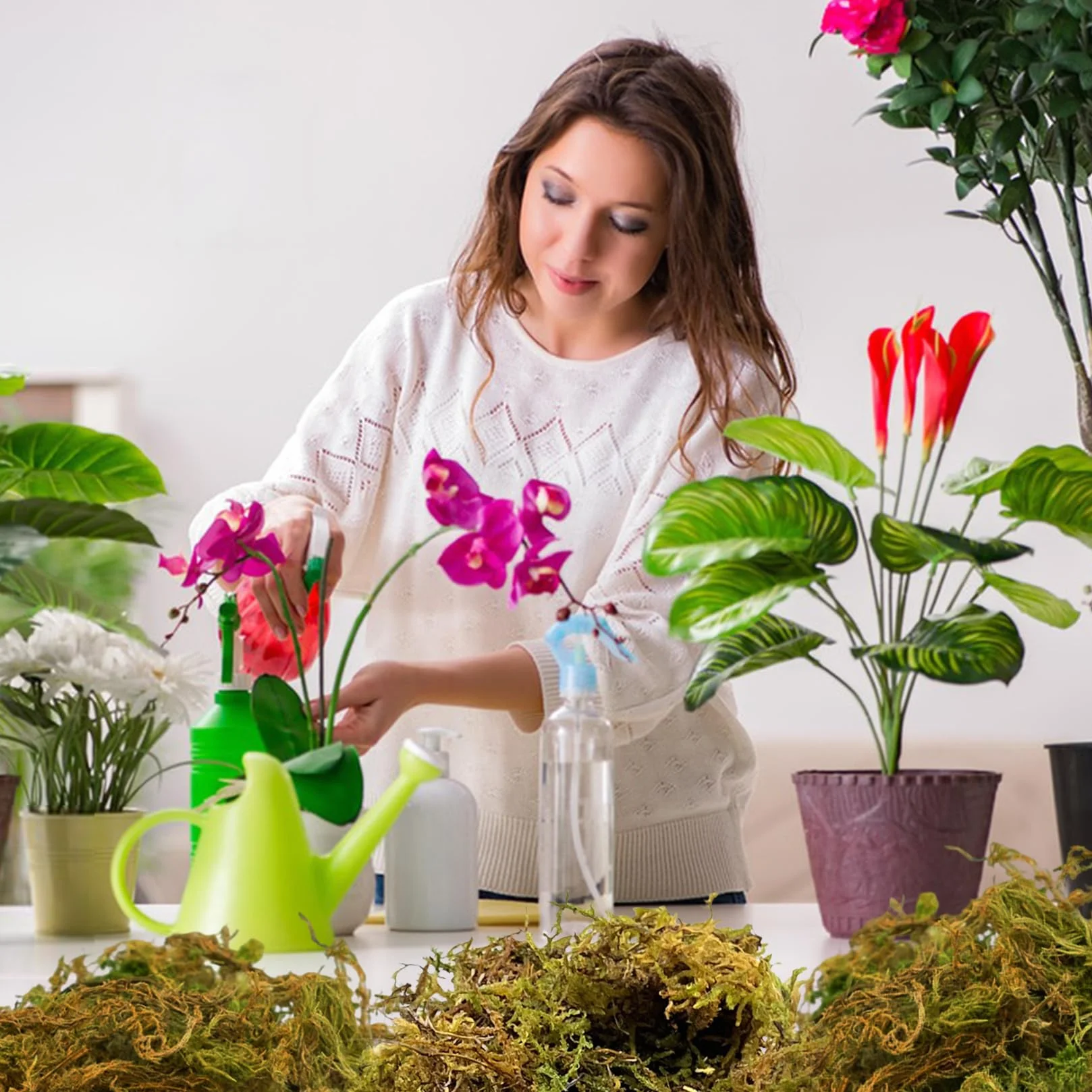 500g Mech Roślinny Torfowiec Naturalny Sprasowany Mech Torfowiec Dla Roślin Doniczkowych Orchidei Domowa Uprawa Roślin Kwiatowych