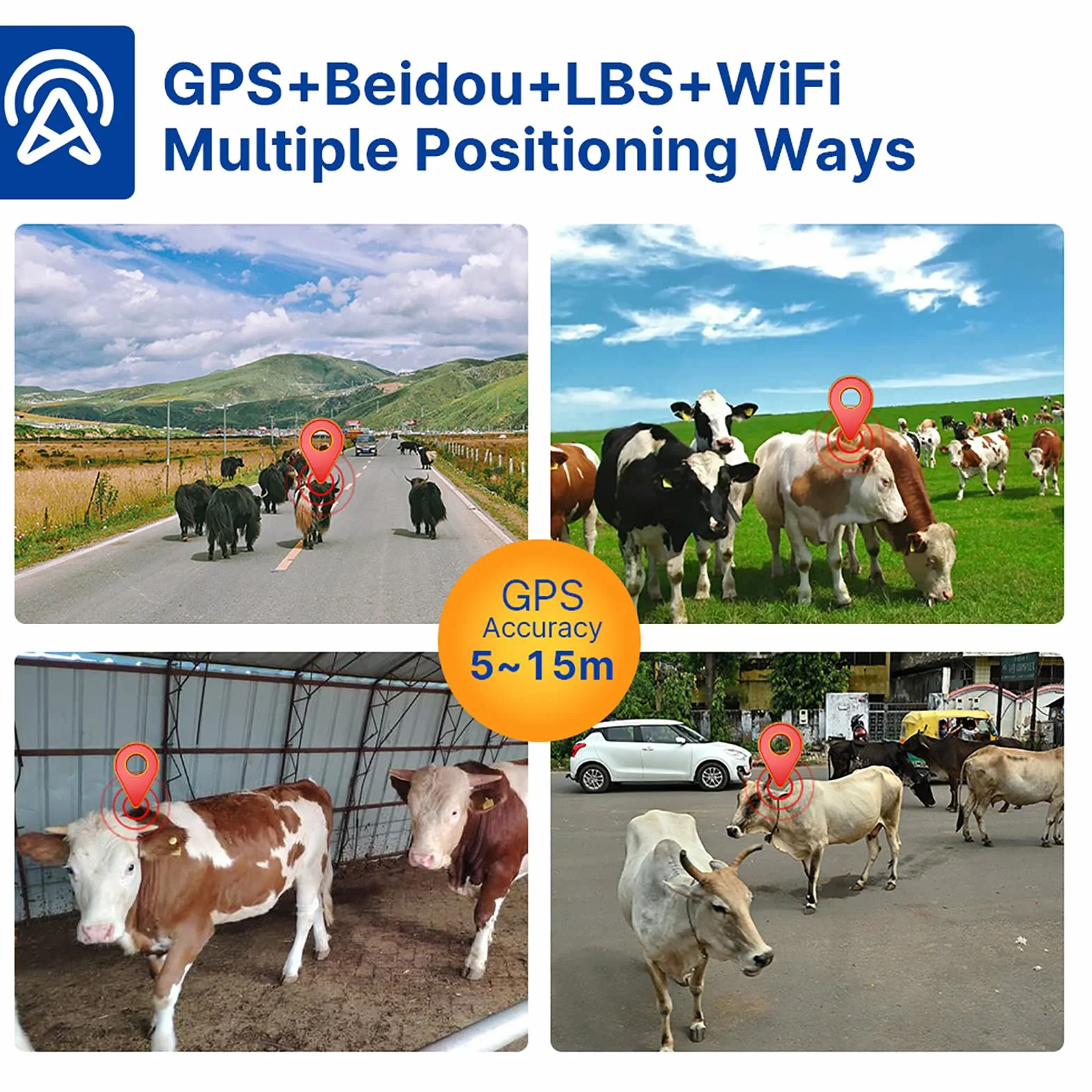 Lokalizator GPS Krów, 18000 MAh Urządzenie Do Śledzenia Bydła, Koni I Wielbłądów, Ślad Historyczny, Pozycjonowanie W Czasie Rzeczywistym, Ustawienie Zasięgu I Alarm Wibracyjny