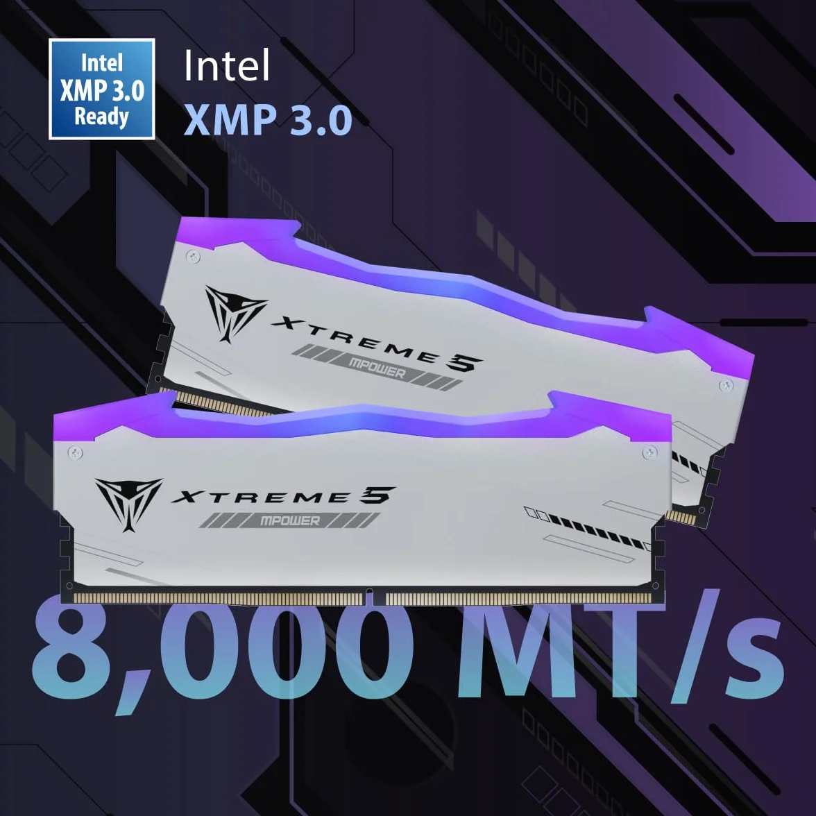DIMM 32 GB DDR5-8000 (2x 16 GB) Dual-Kit (schwarz, PVXR532G80C38KM, Viper Xtreme 5 MPower RGB, INTEL XMP)