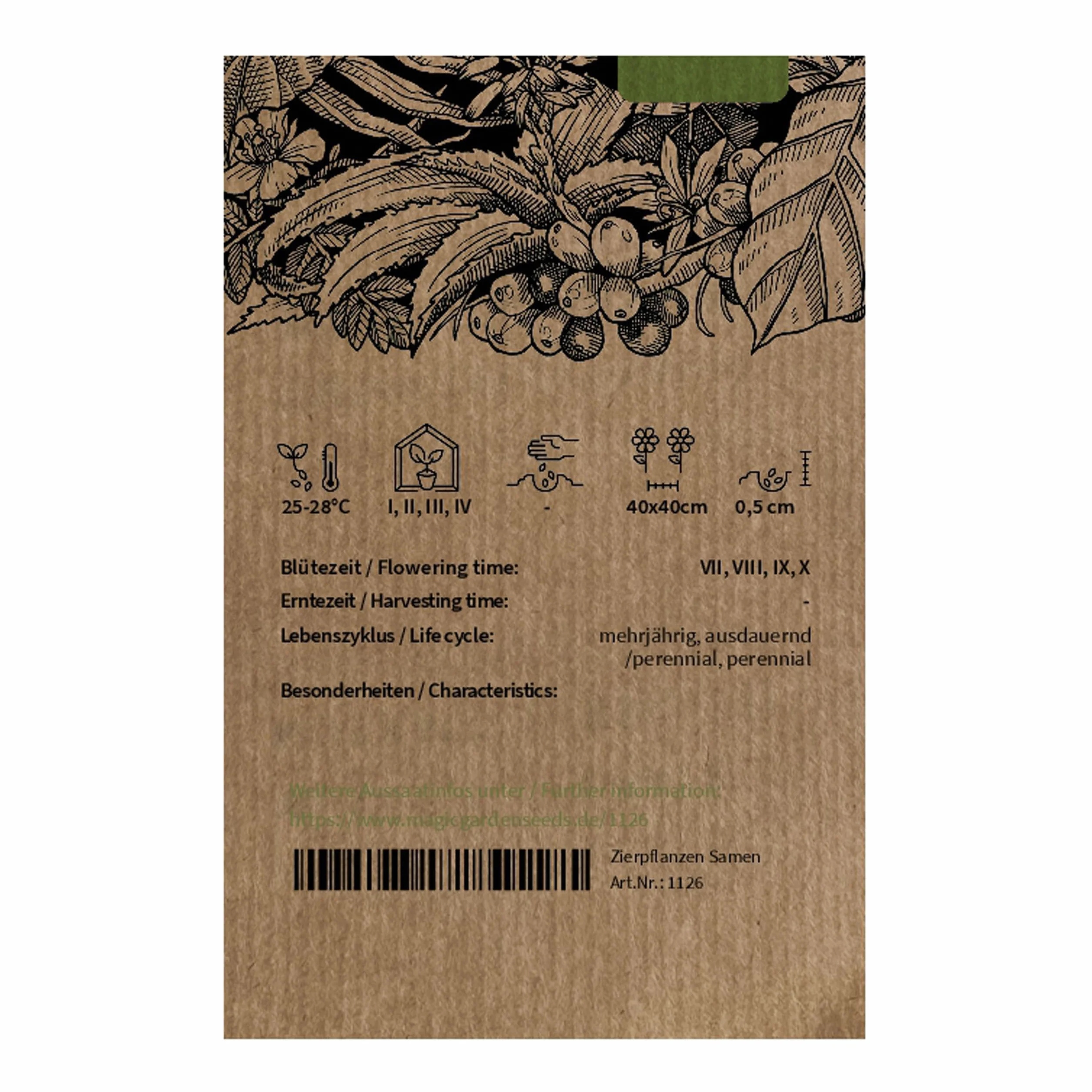 Kanna indyjska Canna indica 5 nasion