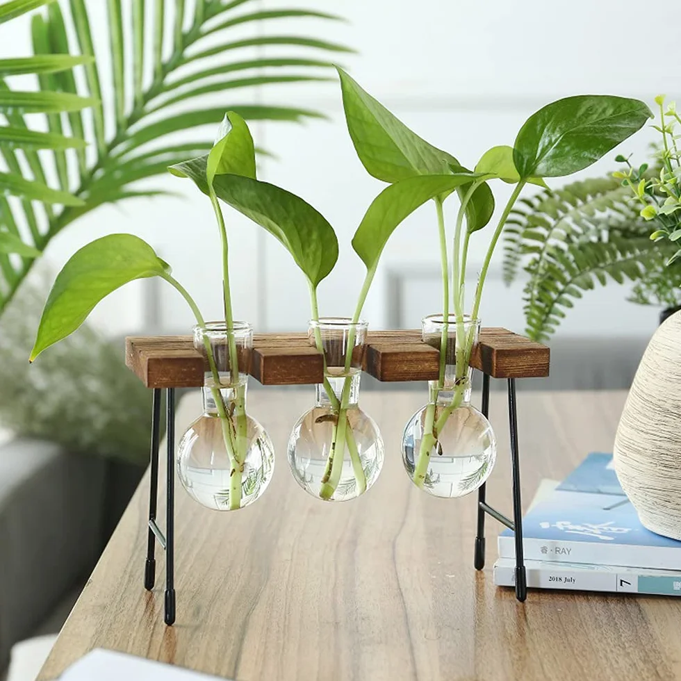 Hydroponiczny szklany wazon, wazon hydroponiczny, szkło do terrarium, z drewnianym regałem, na hydroponiki, rośliny, rośliny powietrzne, terrarium, domowe biuro, dekoracja ogrodowa, 3 wazony na kwiaty