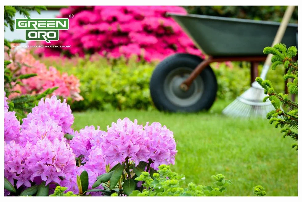 FLOWERS ACID 1,5KG Nawóz do hortensji i roślin kwasolubnych