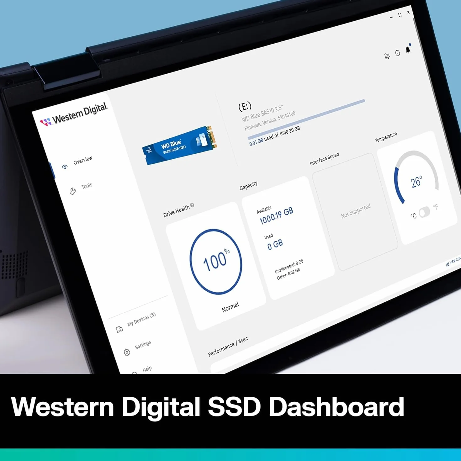 Western Digital WD Blue SA510 M.2 SSD 500 GB