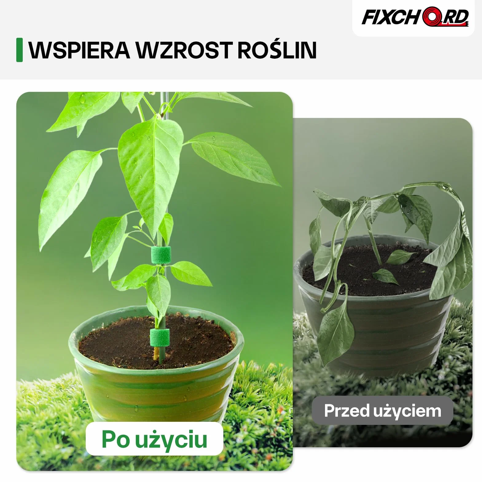 Taśma do wiązania roślin samoprzylepna 10 m, klipsy i haczyki