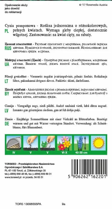 Pompon Cynia Nasiona: Żywe, wielokolorowe, odporne na ciepło, lubiące wilgoć rośliny jednoroczne. Idealne do bukietów, kwitnienie czerwiec-październik (1 gram)