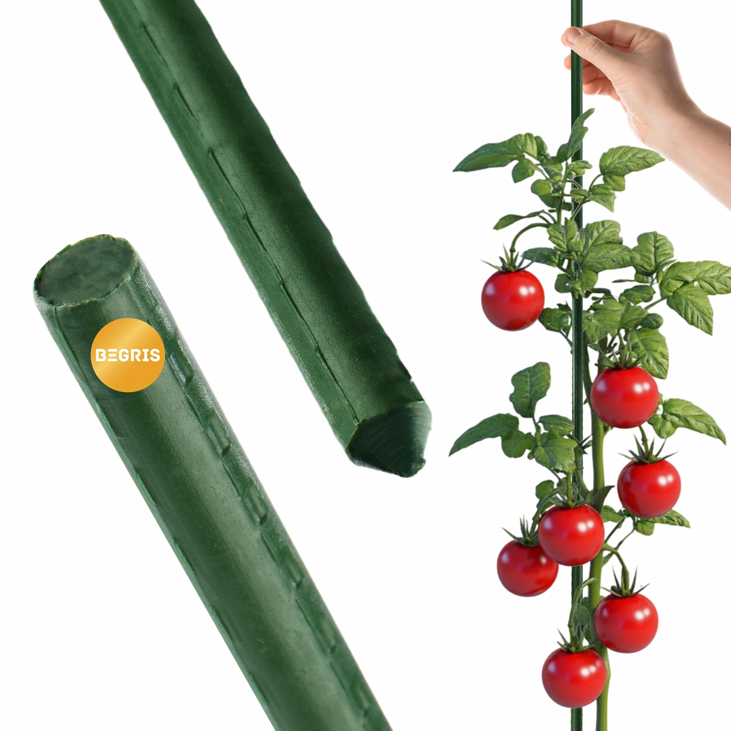 Tyczka Palik Podpora Pomidor Rośliny 150cm/16mm 1 szt STAL Tyczki do pomidorów Trwała Stalowa Konstrukcja Wsparcie Roślin Pnących