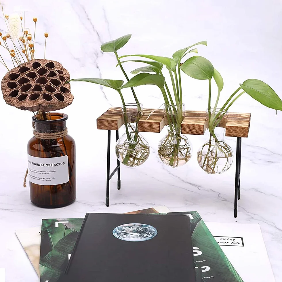 Hydroponiczny szklany wazon, wazon hydroponiczny, szkło do terrarium, z drewnianym regałem, na hydroponiki, rośliny, rośliny powietrzne, terrarium, domowe biuro, dekoracja ogrodowa, 3 wazony na kwiaty