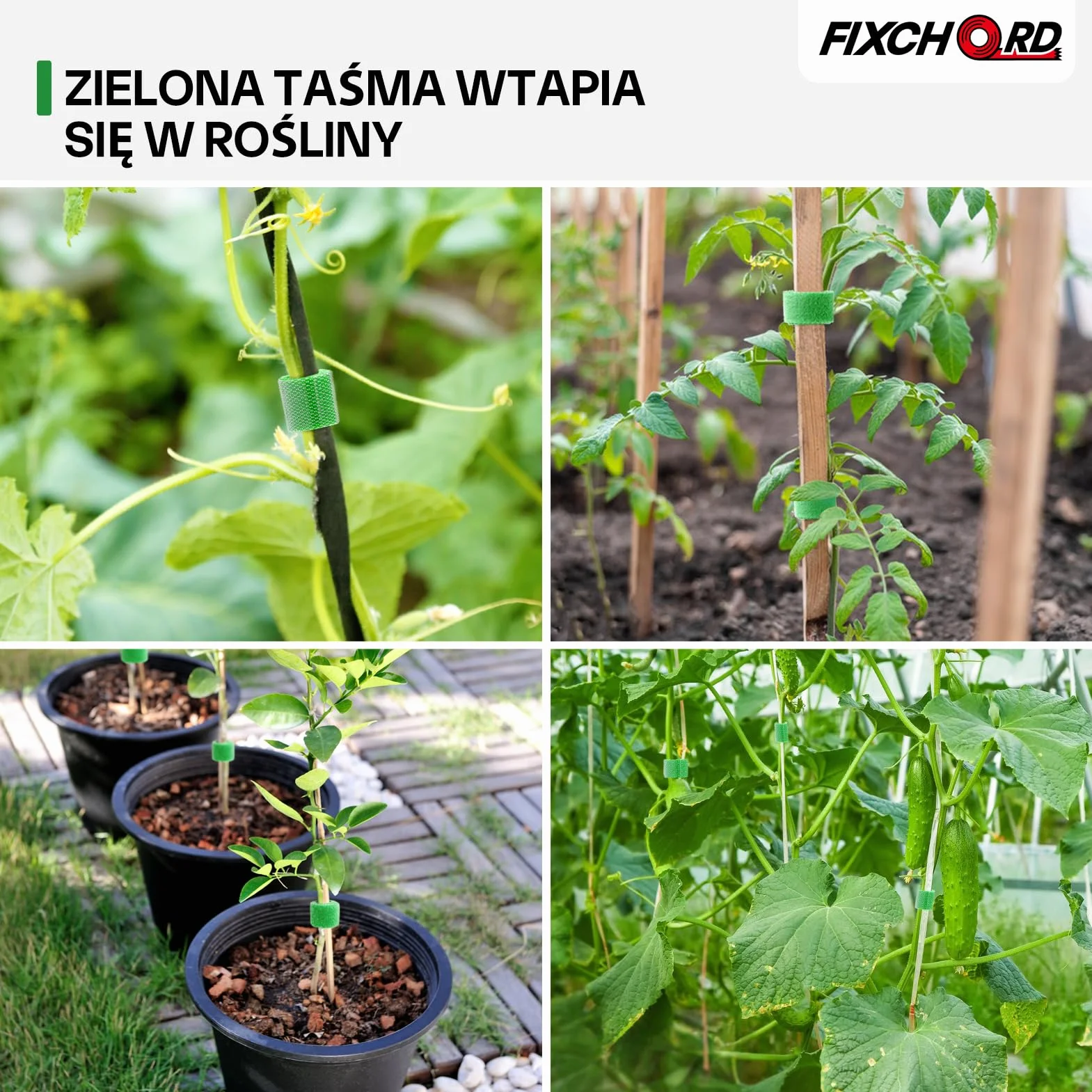 Taśma do wiązania roślin samoprzylepna 10 m, klipsy i haczyki