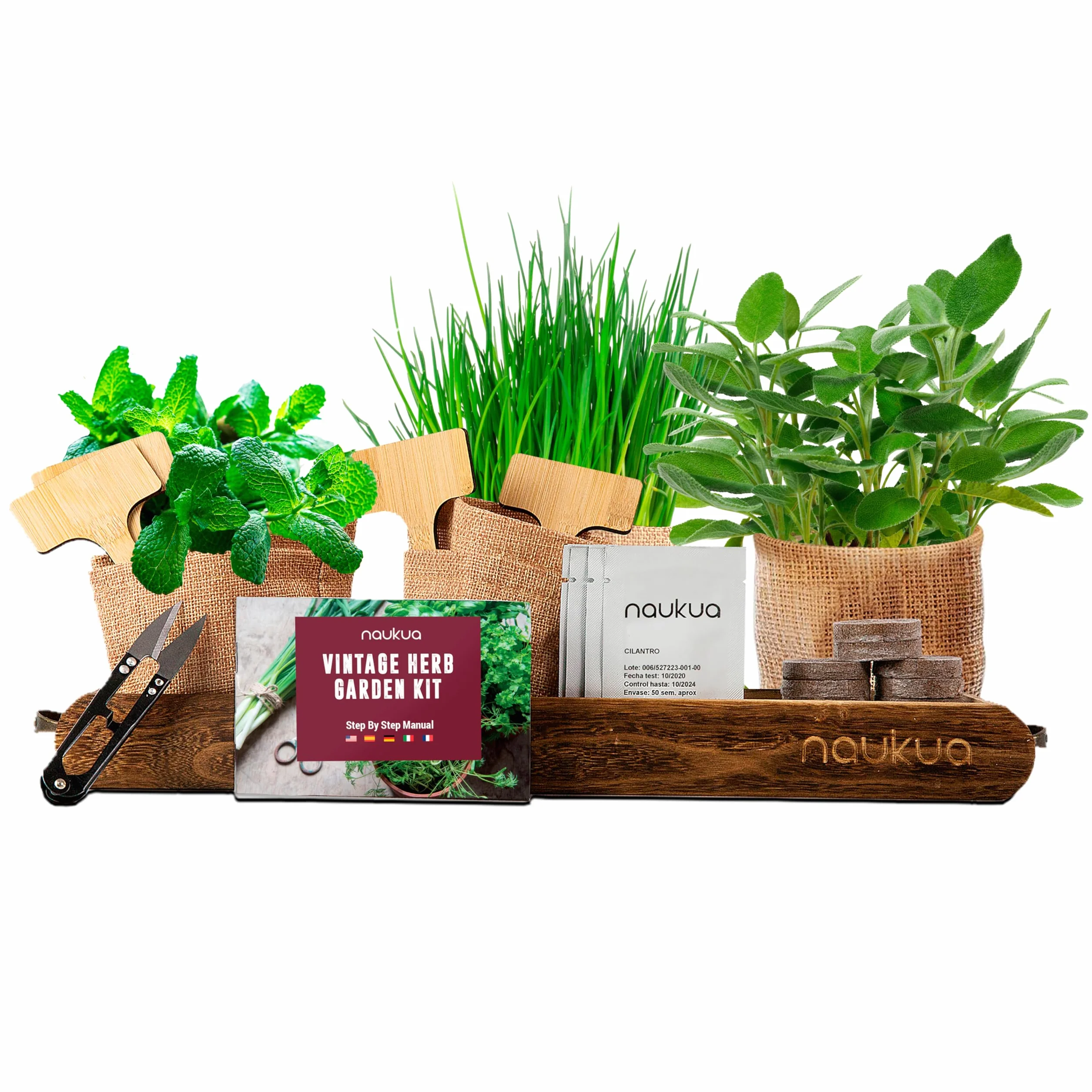 Organiczny Zestaw Do Uprawy Ziół - Szczypiorek, Oregano, Mięta, Szałwia - Nasiona Bez GMO Hiszpania