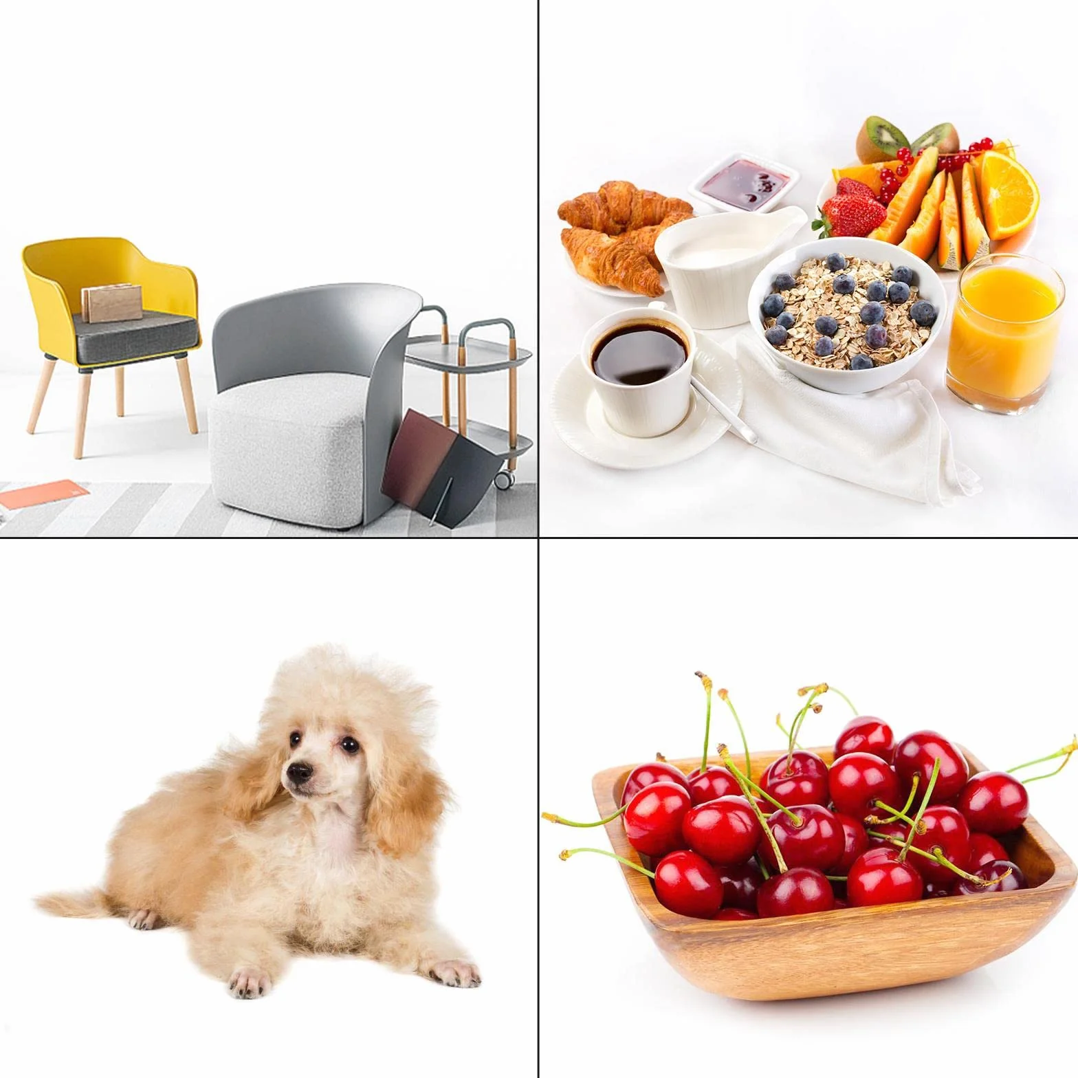 Bezszwowe tło do fotografii papierowej, 1,35 x 10 m, arktyczna biel, do fotografowania portretowego w studiu fotograficznym, produktu, filmowania zwierząt domowych, telewizji, wideo na YouTube, transmisji na żywo, wywiadu