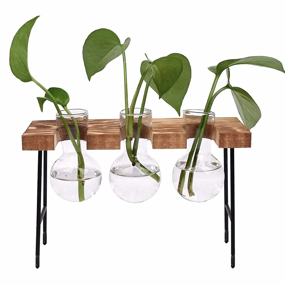 Hydroponiczny szklany wazon, wazon hydroponiczny, szkło do terrarium, z drewnianym regałem, na hydroponiki, rośliny, rośliny powietrzne, terrarium, domowe biuro, dekoracja ogrodowa, 3 wazony na kwiaty