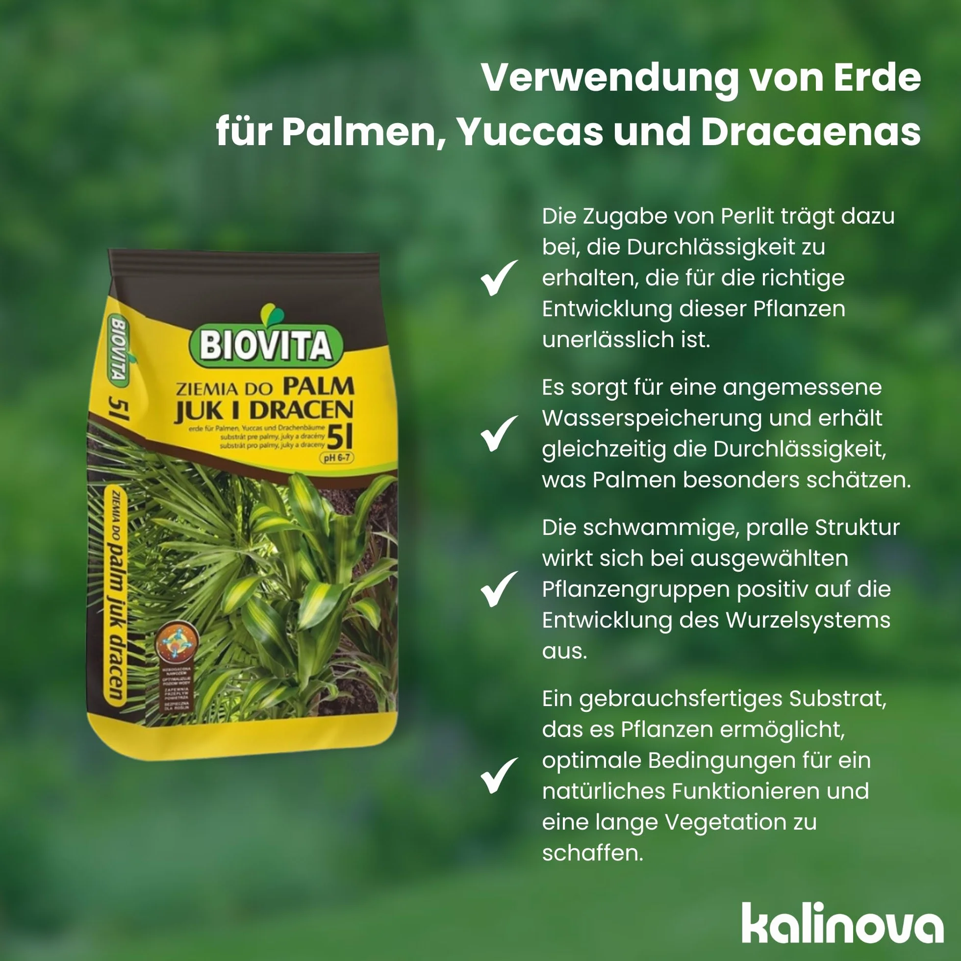 Ziemia do Palm, Juk i Dracen - Podłoże do Roślin Zielonych - BIOVITA (5L)