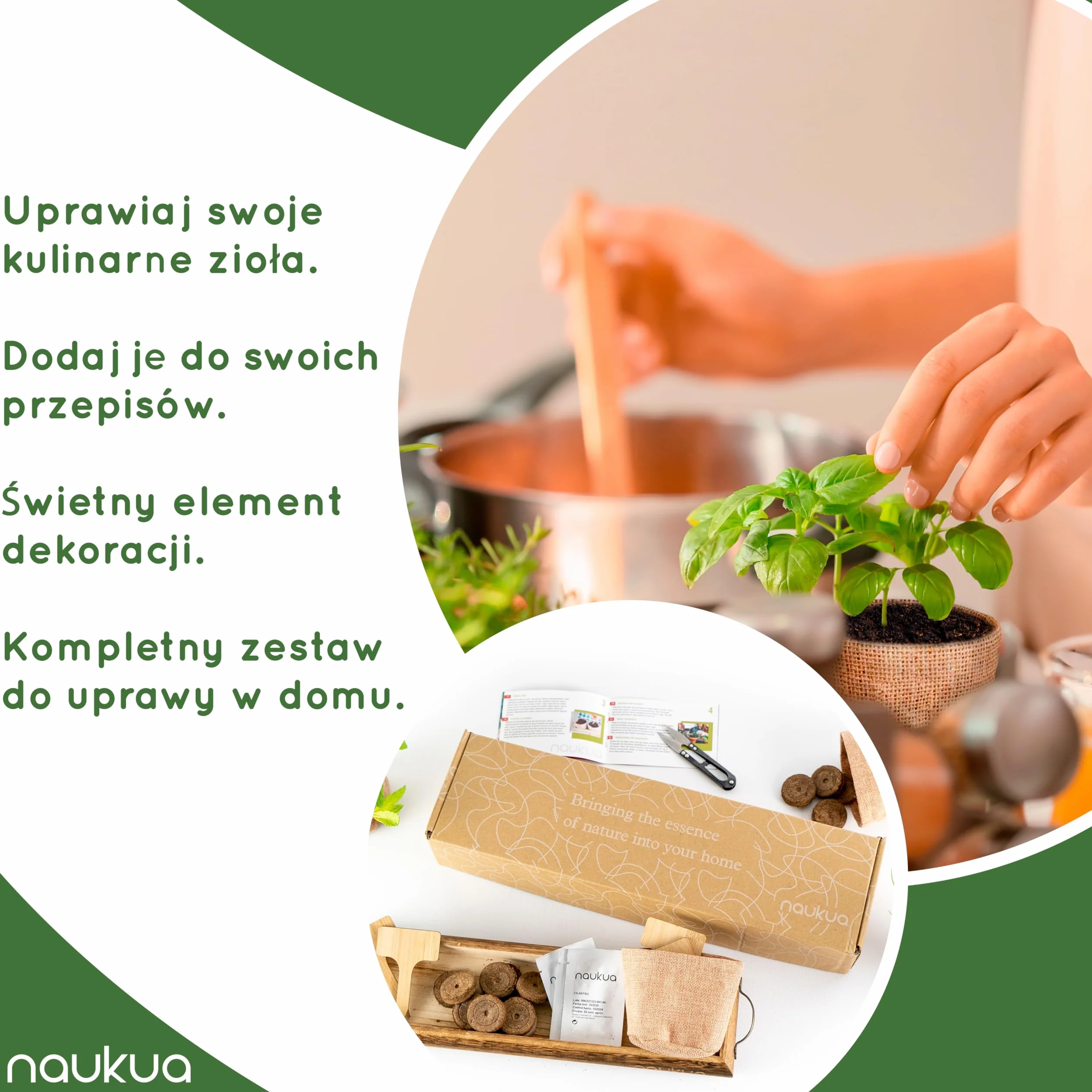 Organiczny Zestaw Do Uprawy Ziół - Szczypiorek, Oregano, Mięta, Szałwia - Nasiona Bez GMO Hiszpania