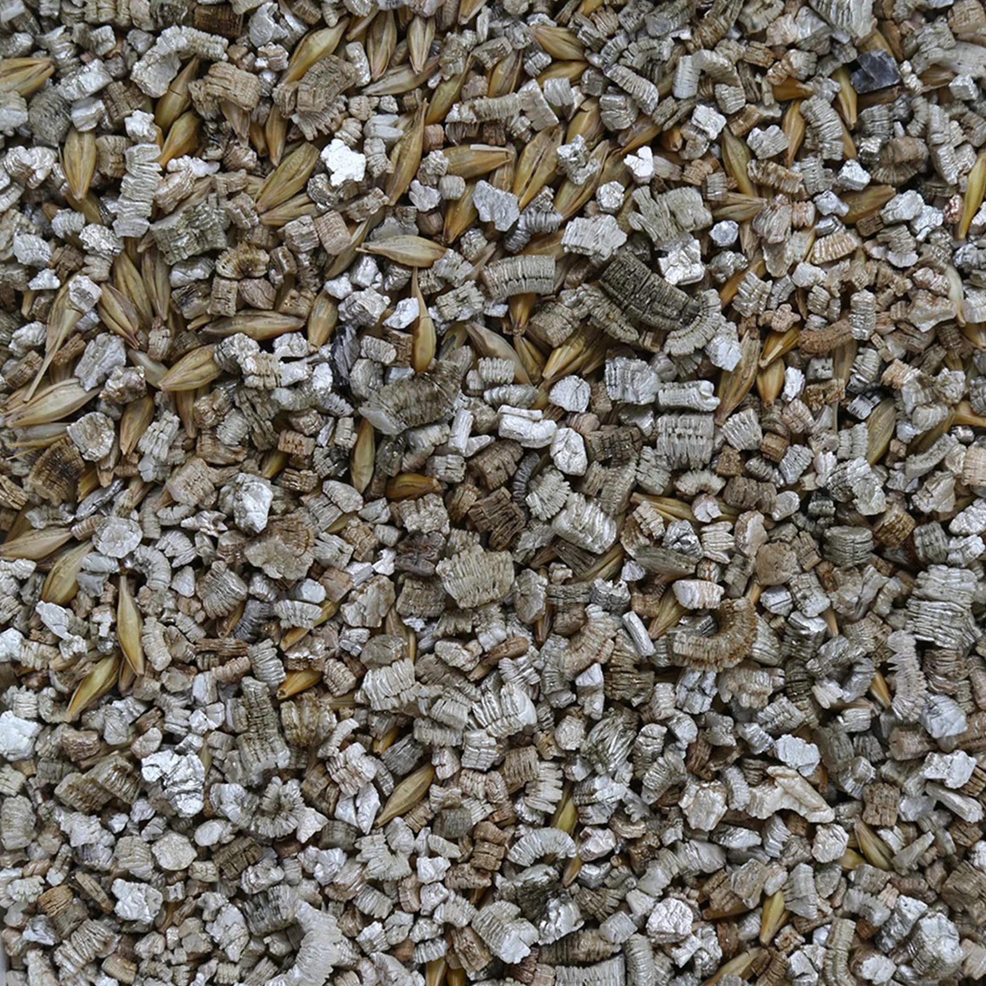 GimCat Trawa dla Kota Mieszanka Nasion 100 g