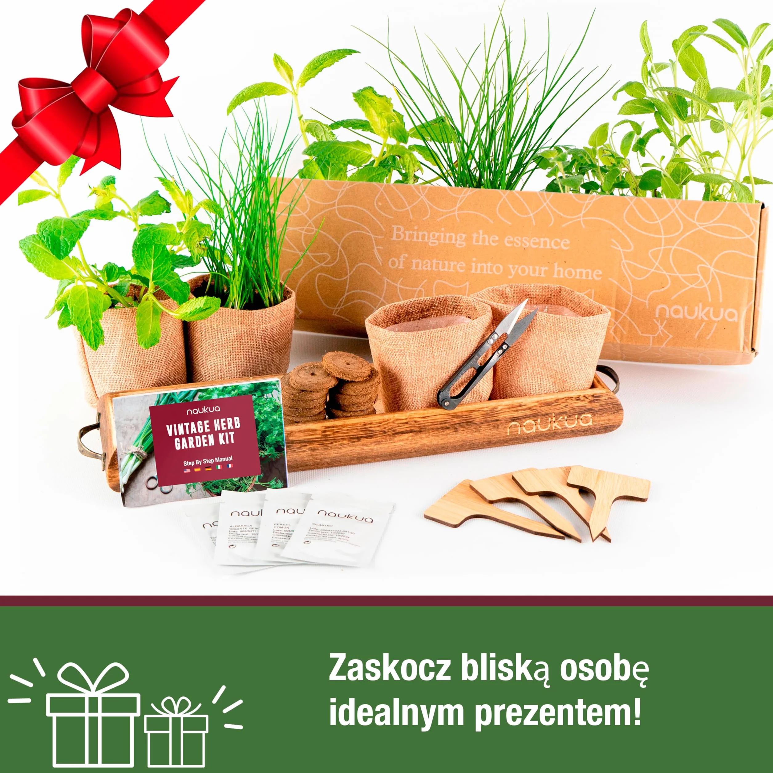 Organiczny Zestaw Do Uprawy Ziół - Szczypiorek, Oregano, Mięta, Szałwia - Nasiona Bez GMO Hiszpania