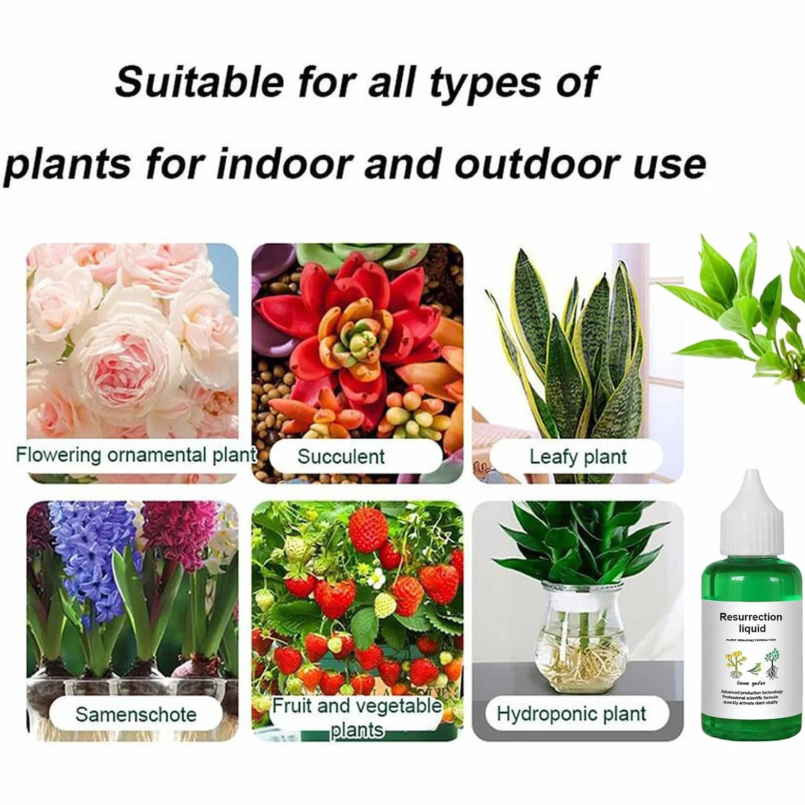 Organic Liquid Fertilizer, Growth Formula for Houseplants with Vital Minerals, High Potency Seedling Nourishment with Easy Mix, Natural Enhancer for Tree Flower Fruit Garden Decor 50ml