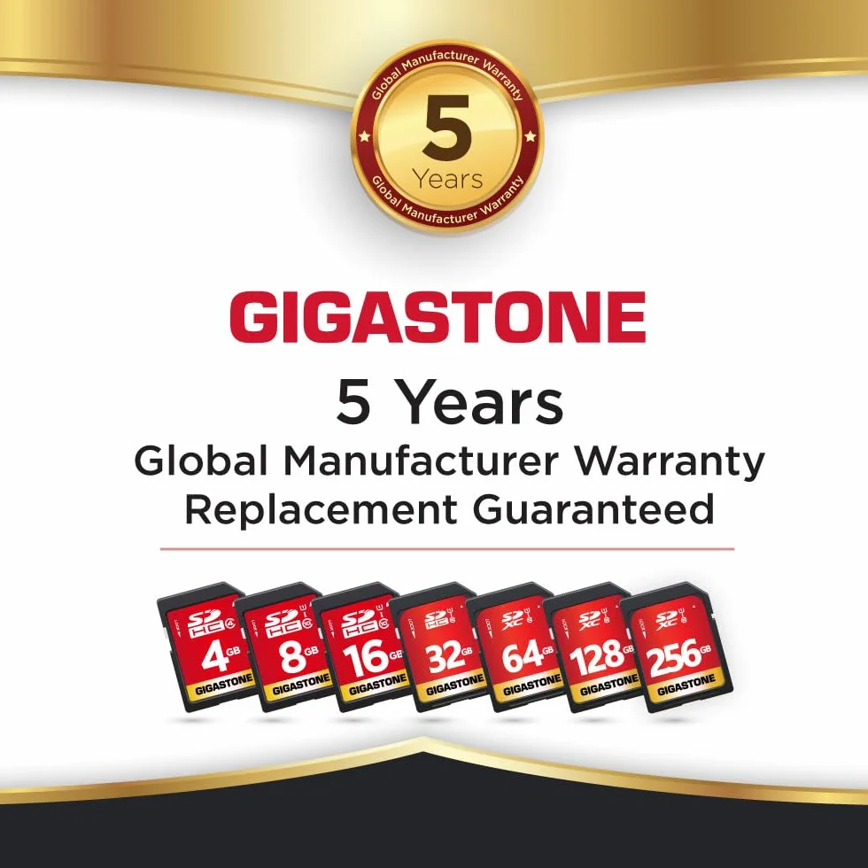 GIGASTONE 64 GB Zestaw 10 kart pamięci SDXC, seria premium, prędkość 80 MB/s. Kompatybilny ze zdjęciami, filmami, muzyką, kamerą, komputerem, U1 UHS-I Class 10 dla UHD Wideo, z 10 mini etui