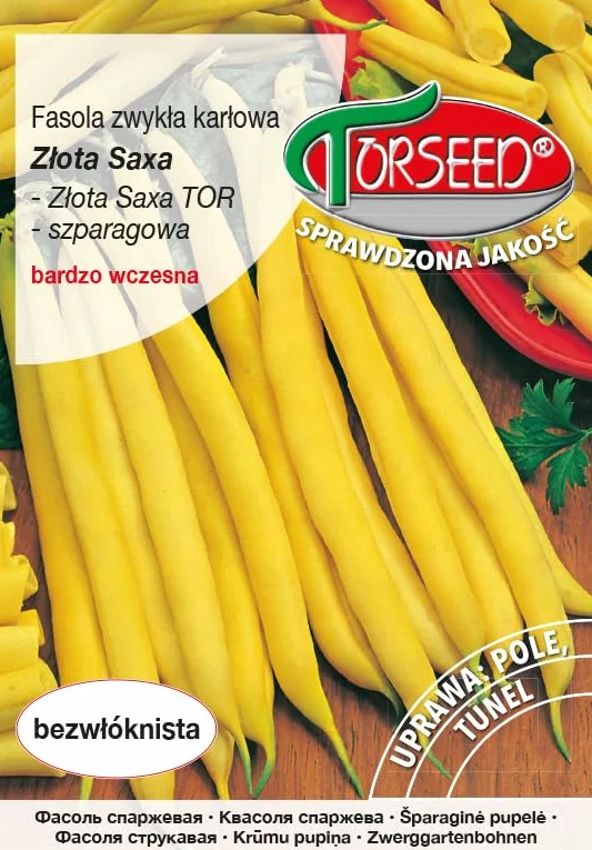 Nasiona fasoli Golden Saxa Phaseolus vulgaris – wczesna dojrzałość, żółte strąki bez włókien