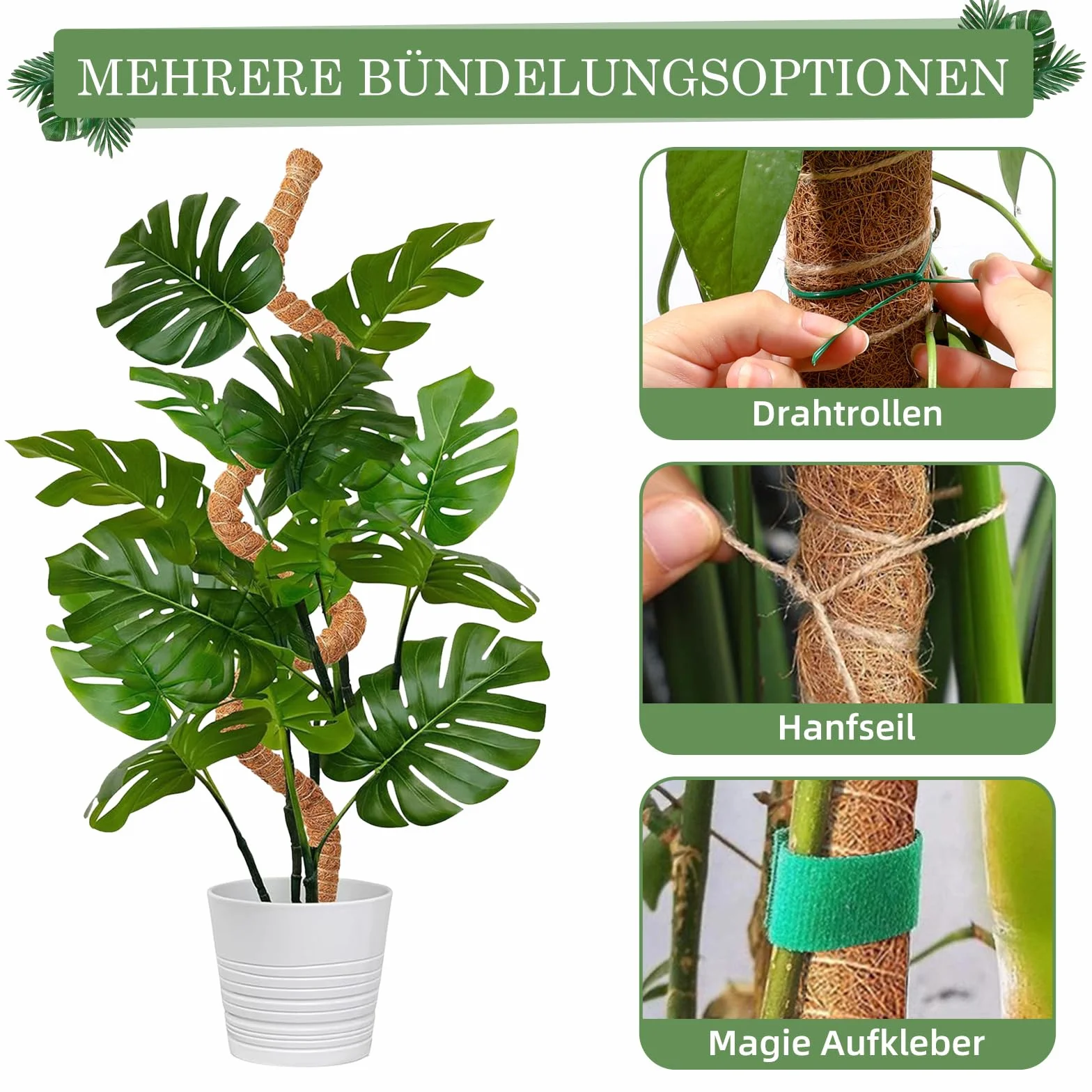 Podpórka wspinaczkowa Monstera 125cm, Kij mchowy dla Monstera z akcesoriami, Podpórka do roślin pokojowych, Wsparcie roślin dla roślin pnących w pomieszczeniach