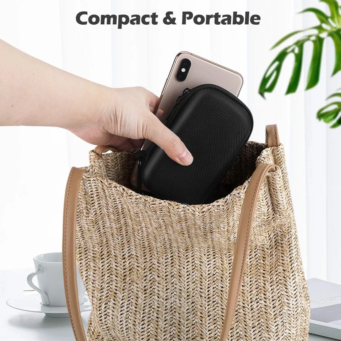 AGPTEK Twarde etui do przechowywania i ochrony Mp3(10cm)/słuchawki/klucz z podwójną siatką i podwójnym zamkiem błyskawicznym do A19/A17 MP3 (rozmiar : 13.2CMx7CMx3.8CM, kompatybilne z 2,4-calowym