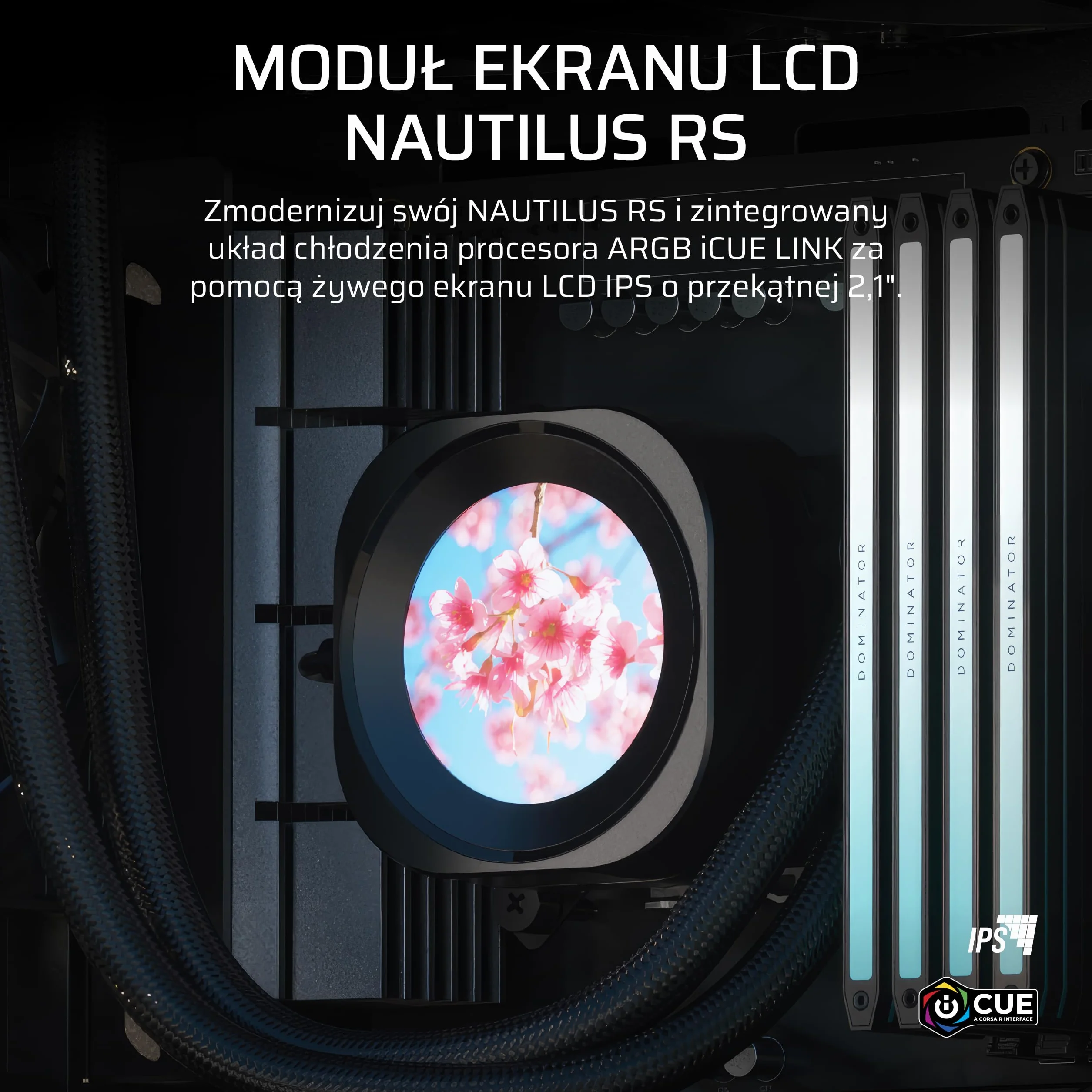 CORSAIR NAUTILUS RS LCD Moduł Ekranu – Do układów chłodzenia CPU NAUTILUS RS i NAUTILUS RS ARGB AIO — Ekran LCD IPS o przekątnej 2,1 cala — Łatwa instalacja bez użycia narzędzi – Czarny
