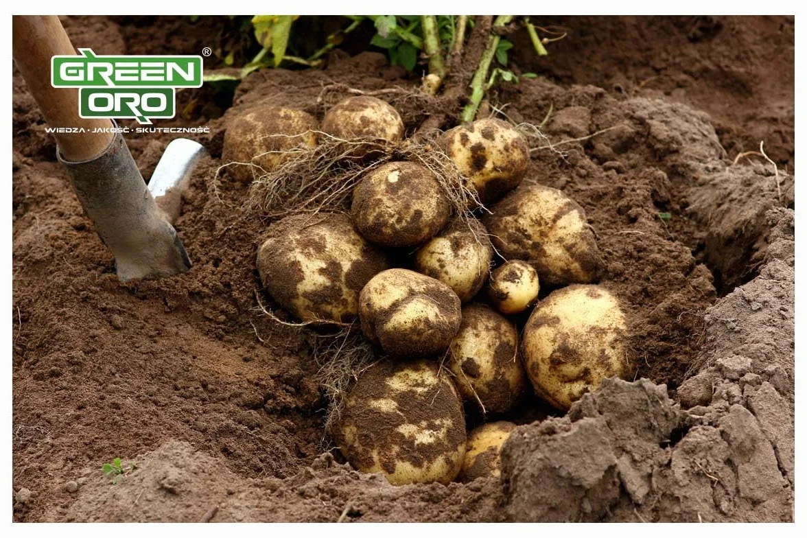 Nawóż do pomidorów 5 kg – TOMATO POWER Długotrwałe działanie do 100 dni