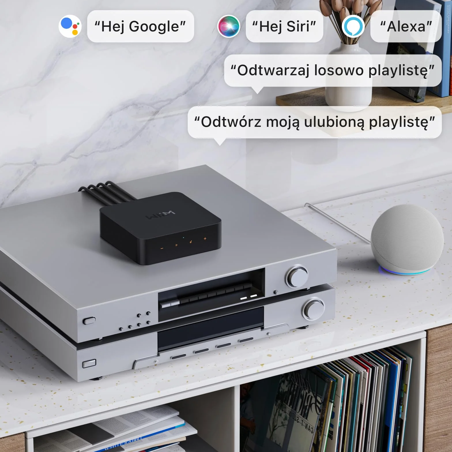 WiiM Pro – Odbiornik AirPlay 2, Google Cast Audio, Wielopokojowy Strumieniowy Oodtwarzacz Wi-Fi, Zgodny z Alexą, Siri i Asystentem Google (WiiM Pro Plus)