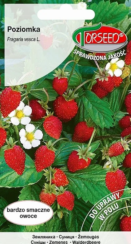 Nasiona Poziomka Rujana 0,2g Torseed