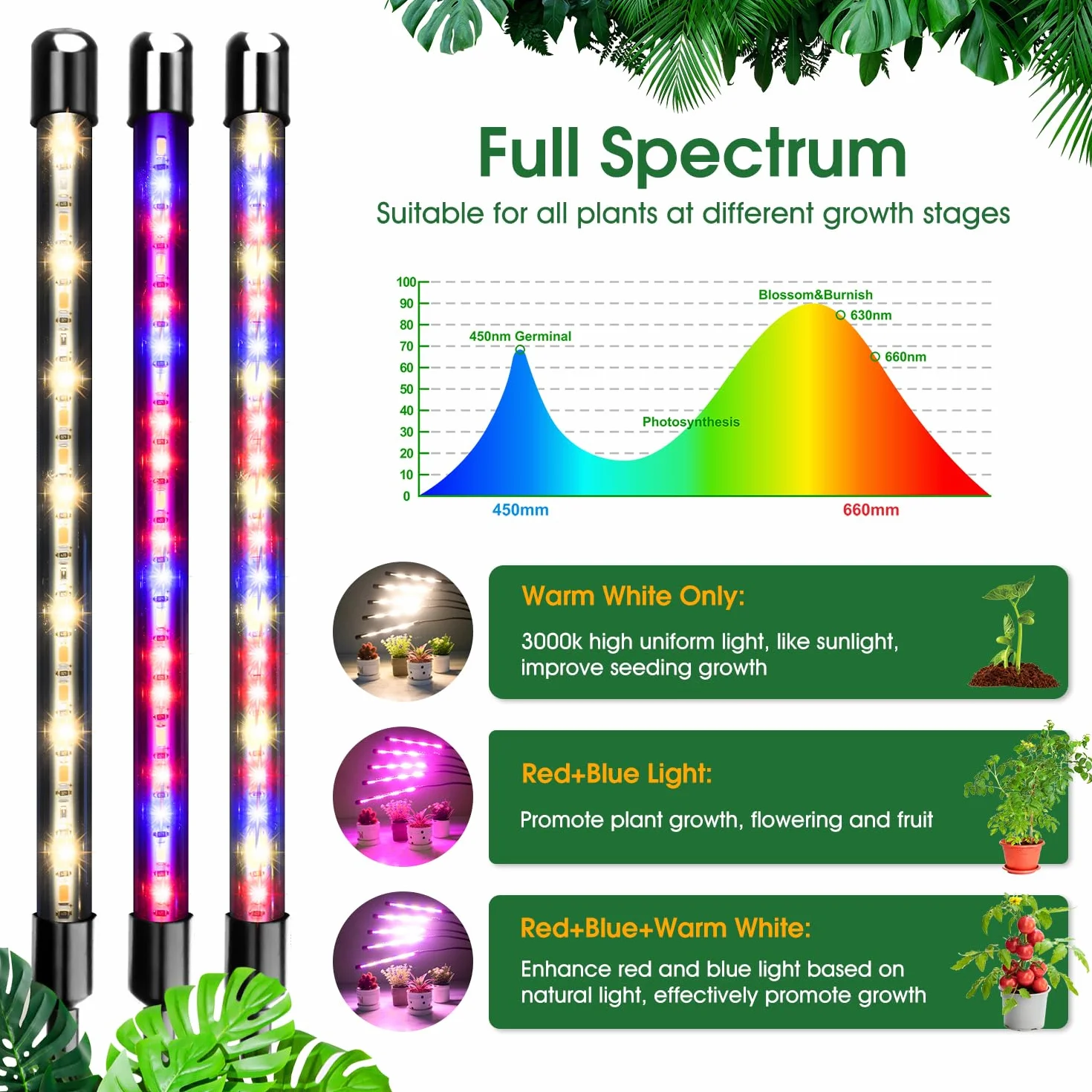 Lampa do uprawy LED 100 diod pełne spektrum 5-głowicowa z automatycznym timerem 6/12/16H