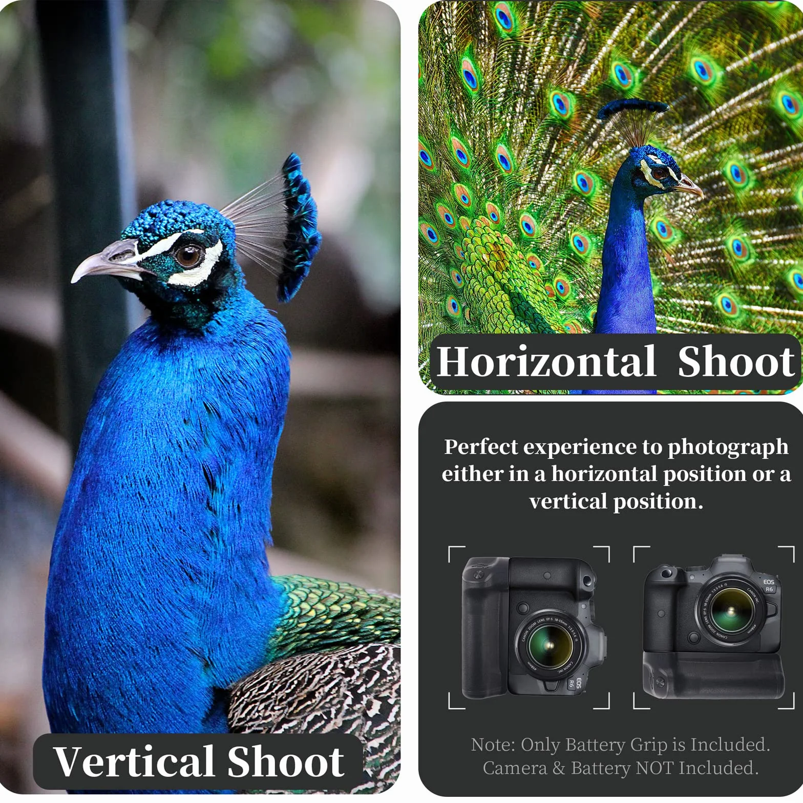 FOTGA Uchwyt baterii do aparatu Canon EOS R6 Mark II R6II R5 R5C - profesjonalny pionowy uchwyt akumulatora Multi Power Pack zamiennik do BG-R10 (obsługuje do 2 x akumulatorów LP-E6/LP-E6N/LP-E6NH)