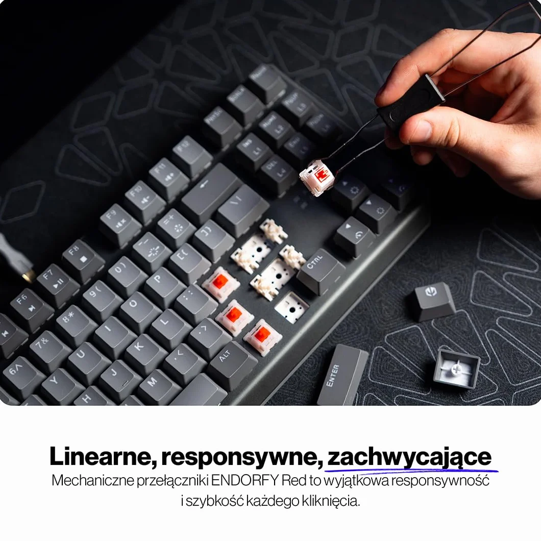 ENDORFY Thock V2 TKL klawiatura gamingowa mechaniczna DE QWERTZ, przełączniki ENDORFY Red, Hot-Swap, RGB ARGB, przewodowa USB, PBT keycaps, aluminiowa obudowa, kompaktowa klawiatura TKL dla graczy