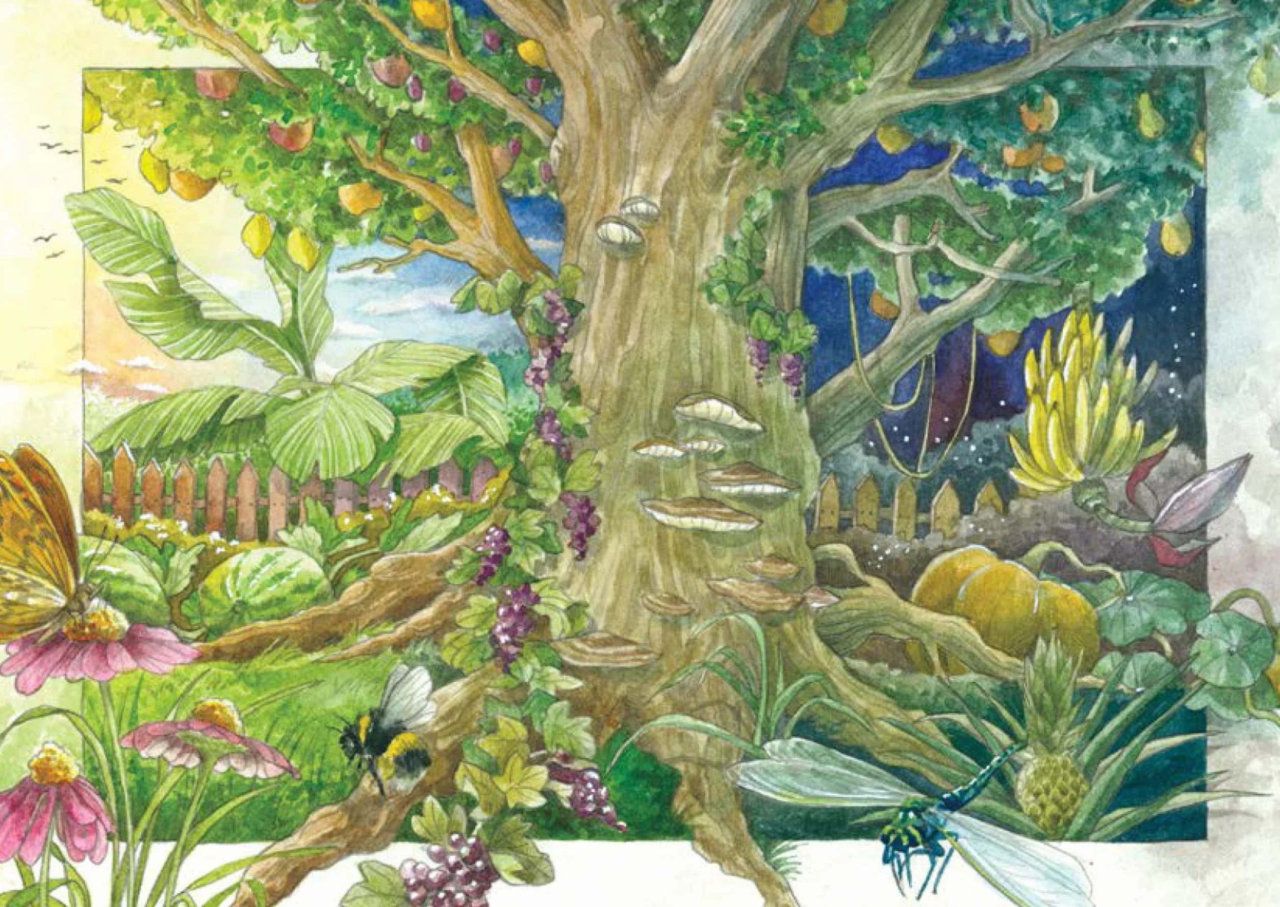 Zestaw nasion ziół ochronnych organicznych 4 bardzo stare tradycyjne magiczne odmiany