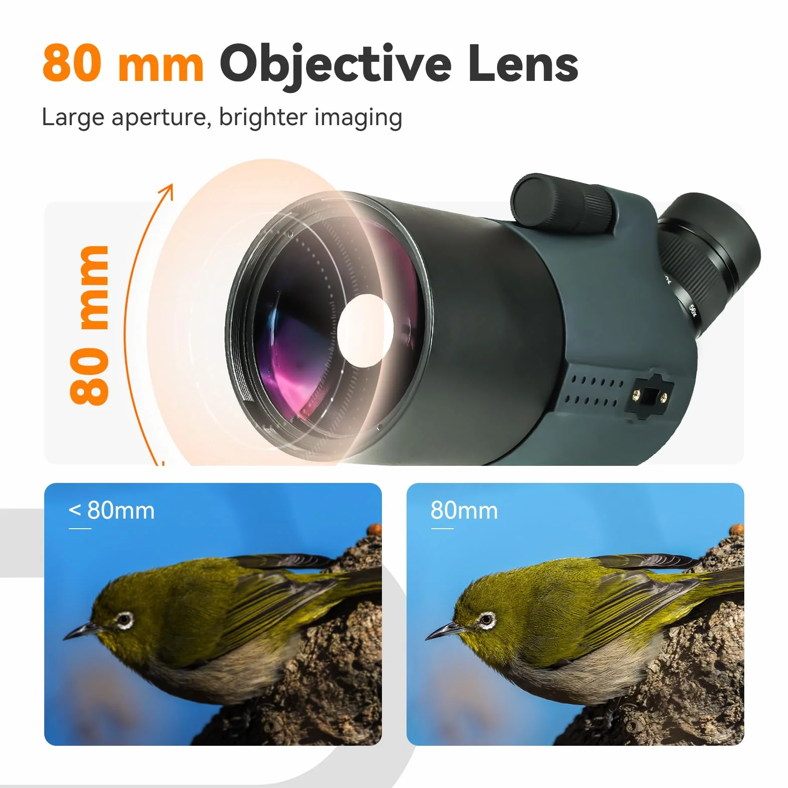 Svbony SV41Pro Mak Luneta Obserwacyjna ze Statywem, Finderscope i Mocowanie Celownika, 28-84X80 FMC Podwójna Prędkość Fokus, Odłączany Okular 1,25", Wodoodporny do Astronomiczny Obserwacja Księżycu