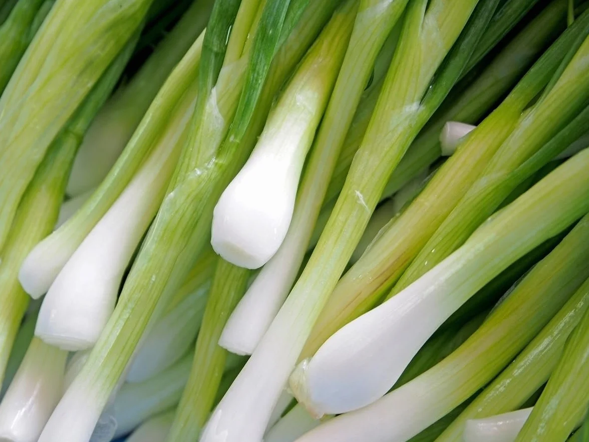 Bajkal Wieloletnie nasiona cebuli Allium fistulosum – ciemnozielony szczypiorek, doskonały smak, długie białe łodygi, idealne do sprzedaży wiązkowej i upraw polowych (0,5 g)