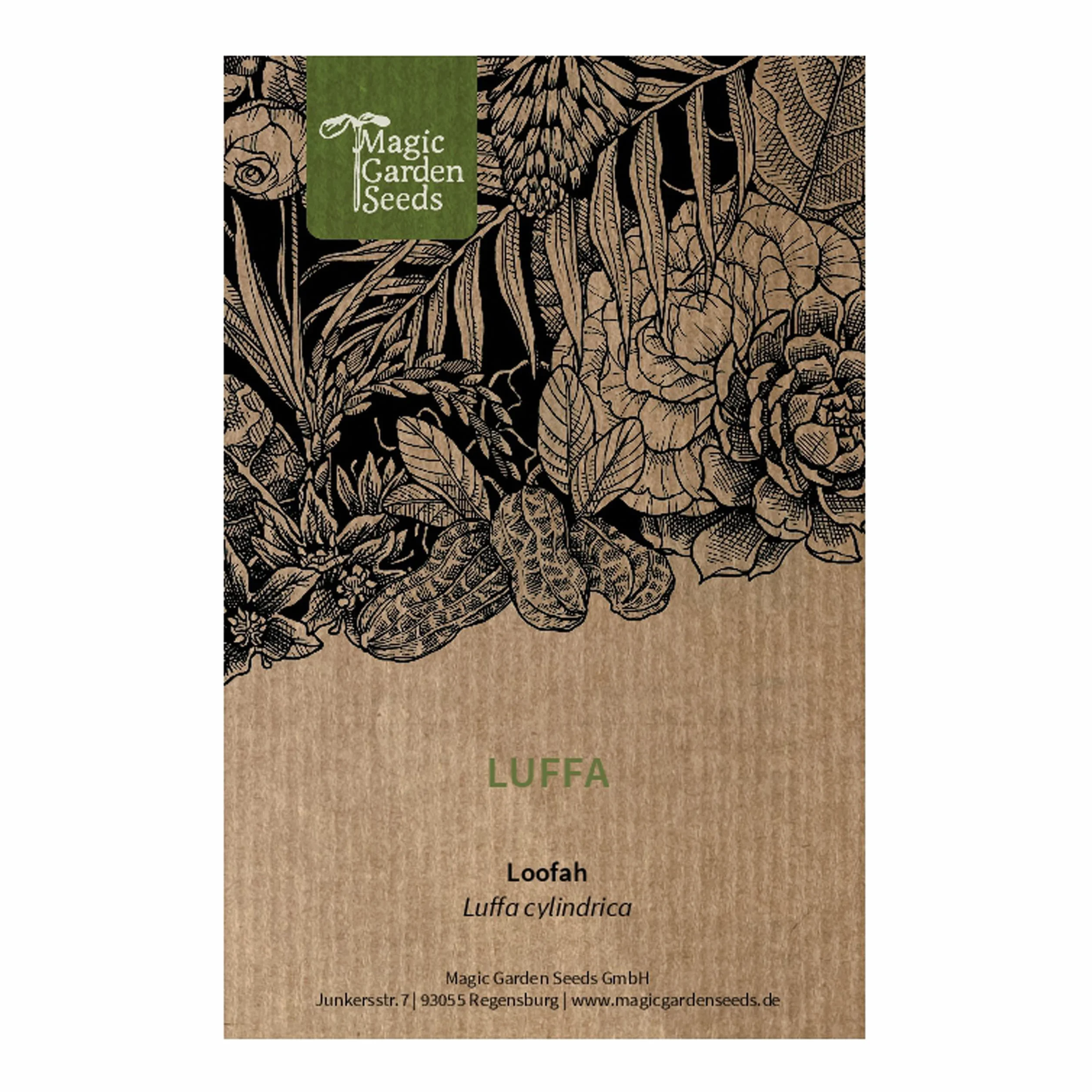 Luffa (Luffa cylindrica) - około 5 nasion