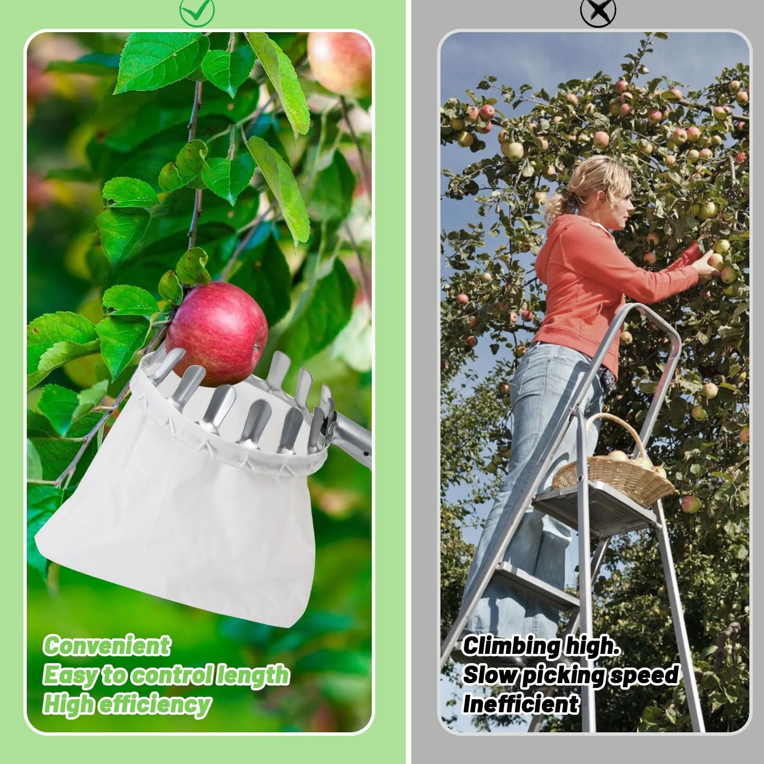Zbieracz owoców teleskopowy 4,2 m średnica 16 cm bawełniany woreczek