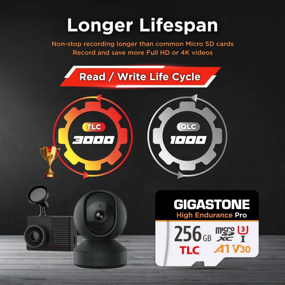 5 lat bezpłatnego odzyskiwania danych: karta Micro SD GIGASTONE 256 GB, wysoka wytrzymałość serii Pro, prędkość do 100 MB/s, kompatybilna z REDTIGER ROVE VIOFO VANTRUE PRUVEEO ARIFAYZ Dash Cam