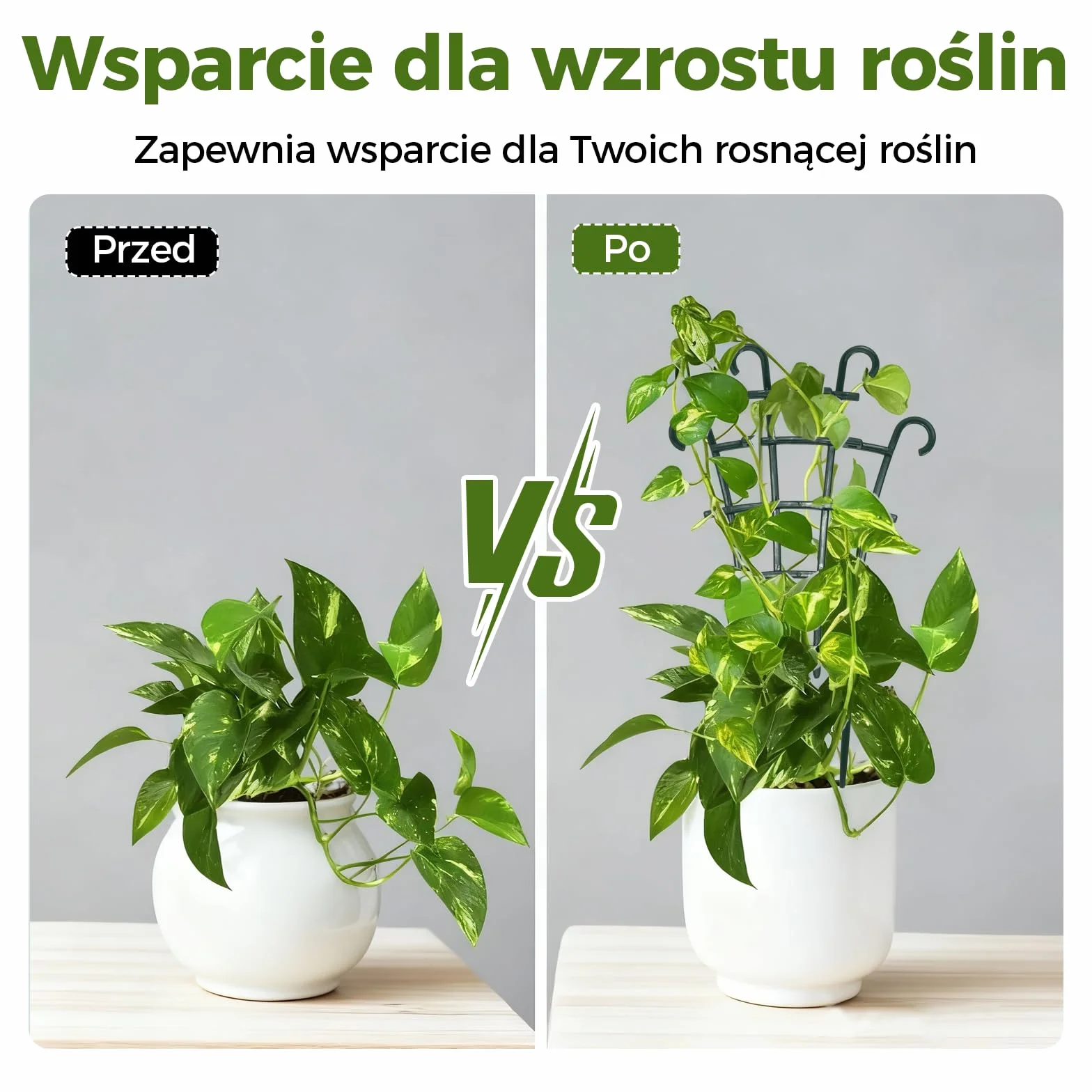 Bamworld 4 Szt. Zielonych Kratek dla Pnączy - Składane Podpory o Regulowanej Długości do Roślin Wewnętrznych i Zewnętrznych, Stabilne Konstrukcje dla Bluszczu, Epipremnum i Hoji