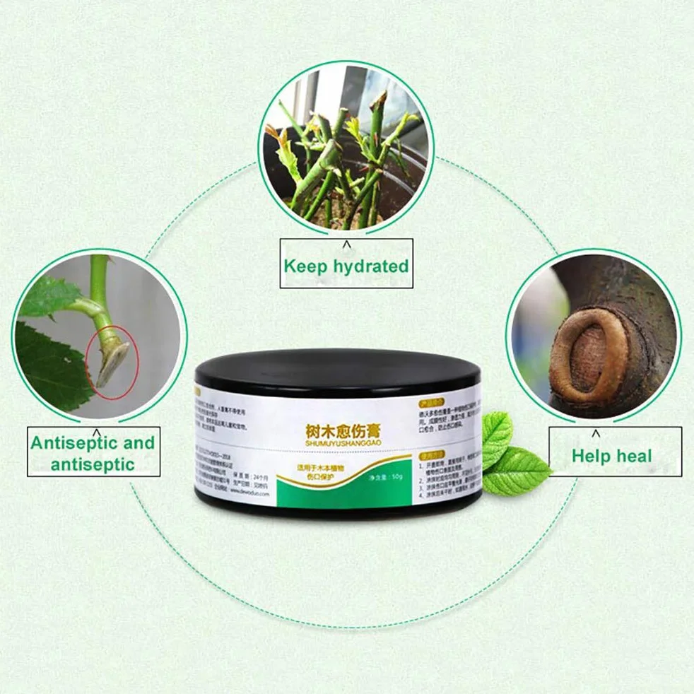 Uszczelniacz do Gojenia Roślin 50g Pasta do Przycinania Drzew Bonsai