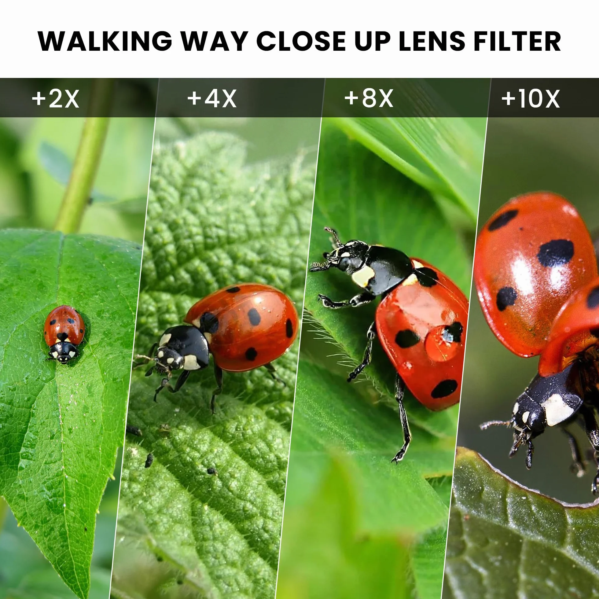 Walking Way Obiektyw makro + 4 do obiektywów aparatu – 82 mm filtr bliski do szczegółów i fotografii produktu, szkło HD, idealny do biżuterii i DIY