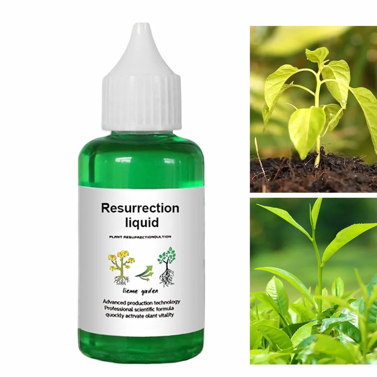 Organic Liquid Fertilizer, Growth Formula for Houseplants with Vital Minerals, High Potency Seedling Nourishment with Easy Mix, Natural Enhancer for Tree Flower Fruit Garden Decor 50ml