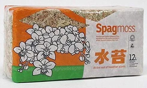 Portal Cool Nuova Zelanda Sphagnum Orchid Moss 150 grammi (12 litri)