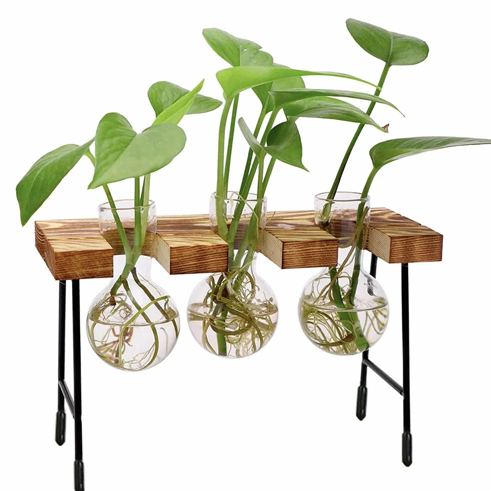 Hydroponiczny szklany wazon, wazon hydroponiczny, szkło do terrarium, z drewnianym regałem, na hydroponiki, rośliny, rośliny powietrzne, terrarium, domowe biuro, dekoracja ogrodowa, 3 wazony na kwiaty