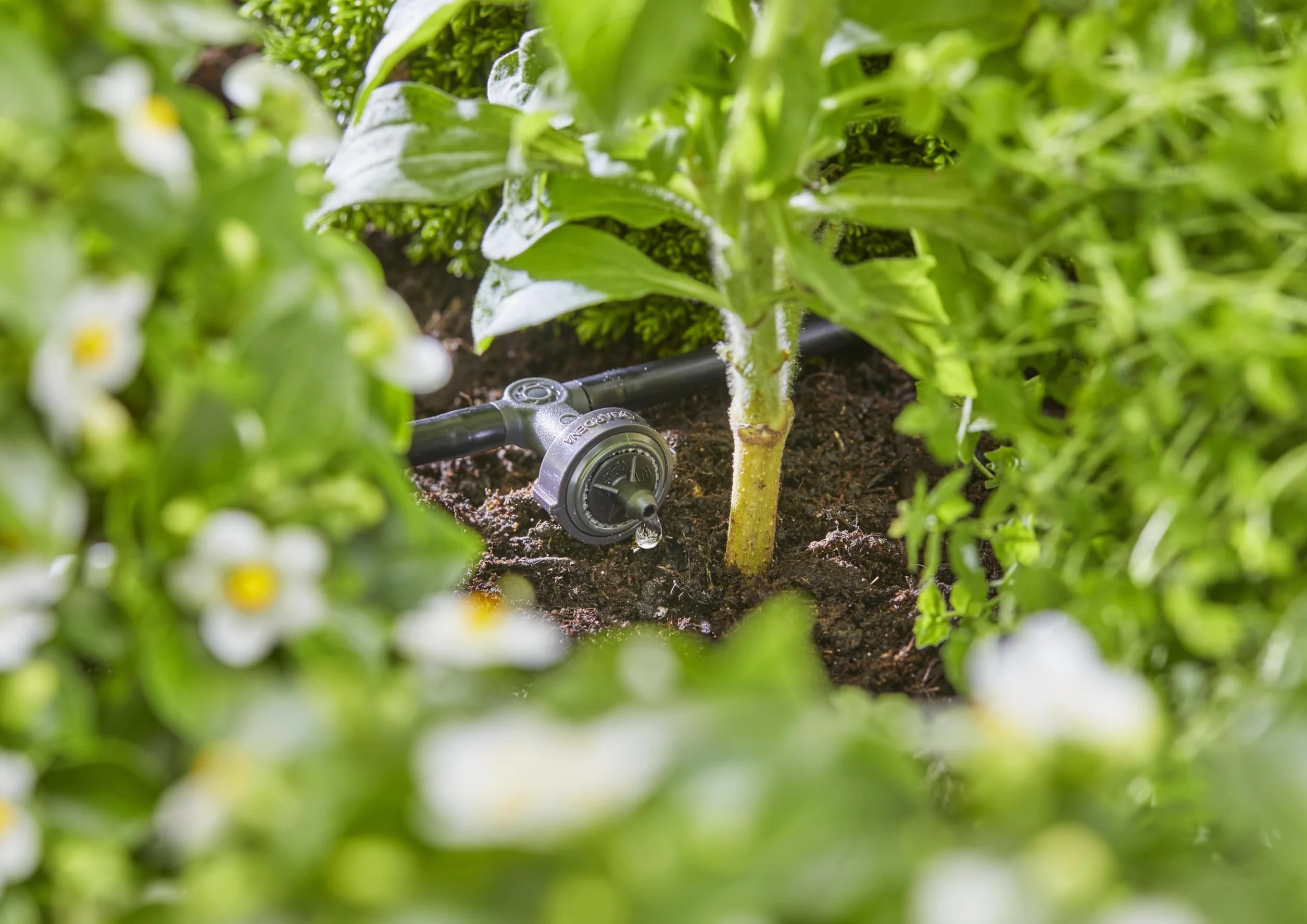 Gardena system Micro-Drip kroplownik rzędowy, regulacja ciśnienia: Kroplownik do automat. systemu nawadniania, do rzędów roślin z różną wysokością donic, prosta technika połączeniowa (13312-20)