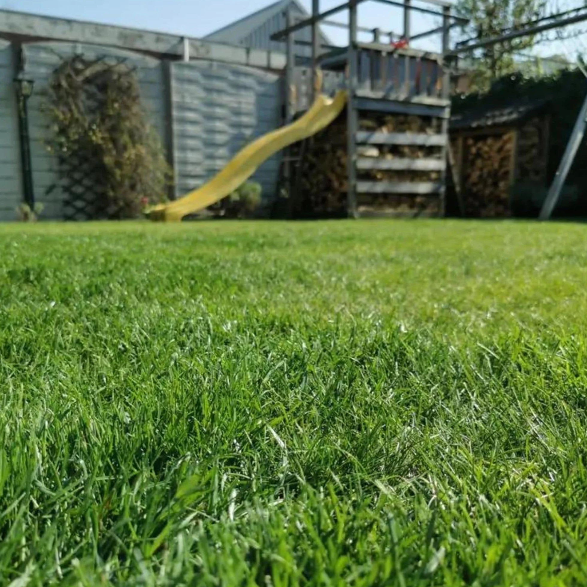 MOOWY Easy Mow Całosezonowy Nawóz do Trawników 400 m² - Kontrolowane Uwalnianie Przez 3 Miesiące - Bezpieczny dla Dzieci i Zwierząt Domowych - Dostosowany do Polskiej Pogody - Naprawa Trawy
