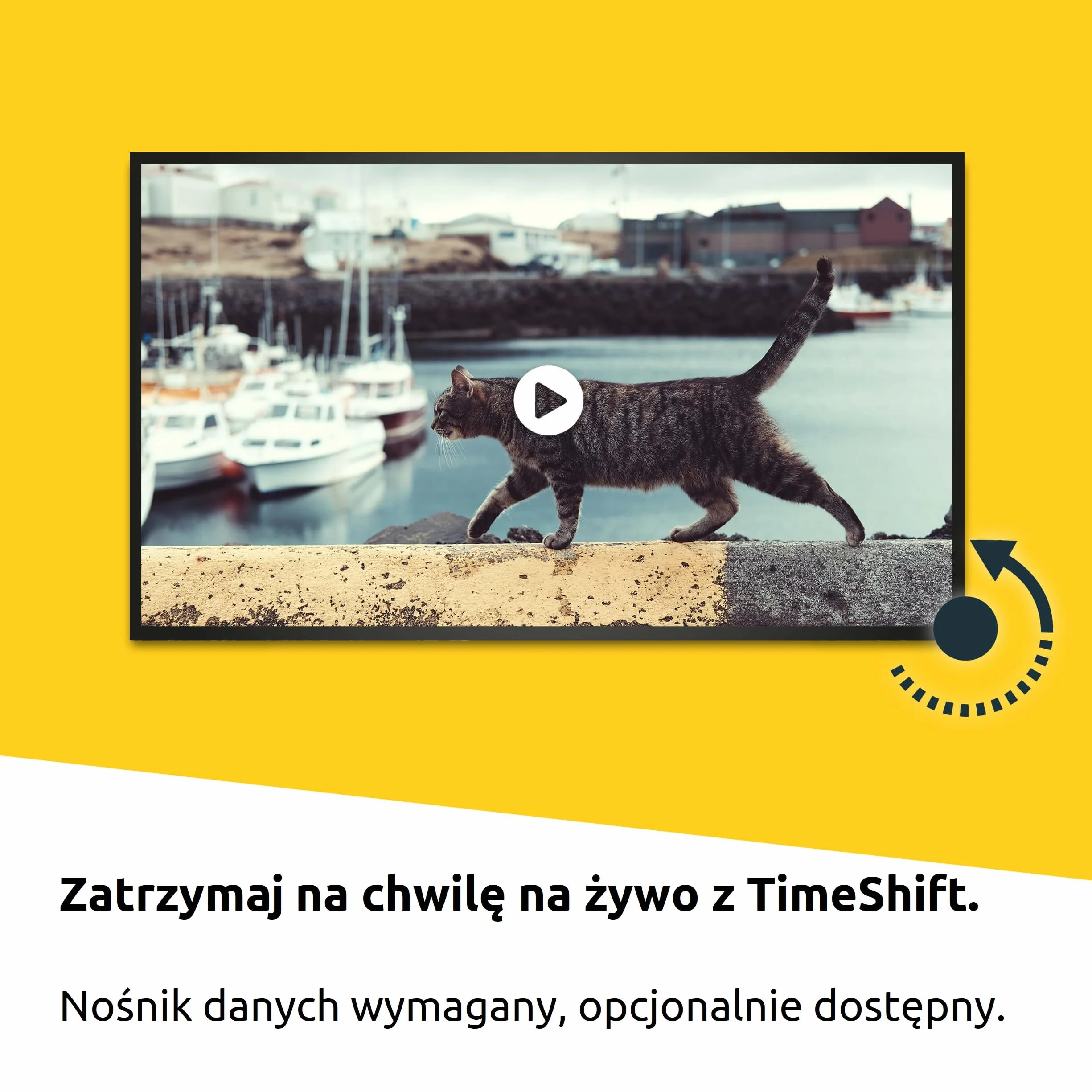 TechniSat DIGIPLUS UHD S2-4K Sat Odbiornik z alfanumerycznym wyświetlaczem i Twin Tunerem (DVB-S/DVB-S2, HEVC, H.265, sterowanie aplikacją, funkcja nagrywania PVR, WLAN, LAN, CI+, USB, OLED) czarny