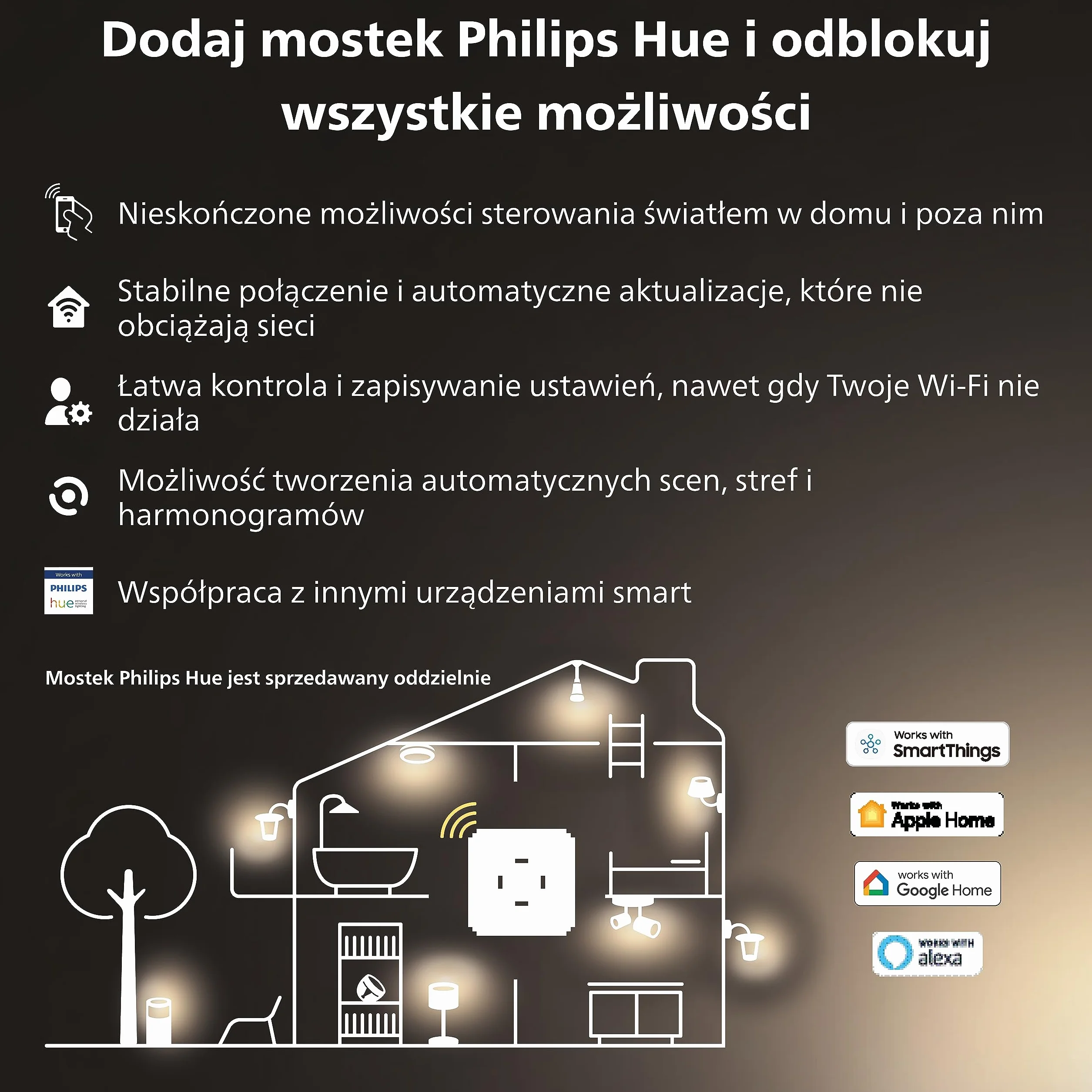 Philips Hue Zewnętrzny kabel przedłużający 2,5 m do lamp zewnętrznych Low Volt czarny