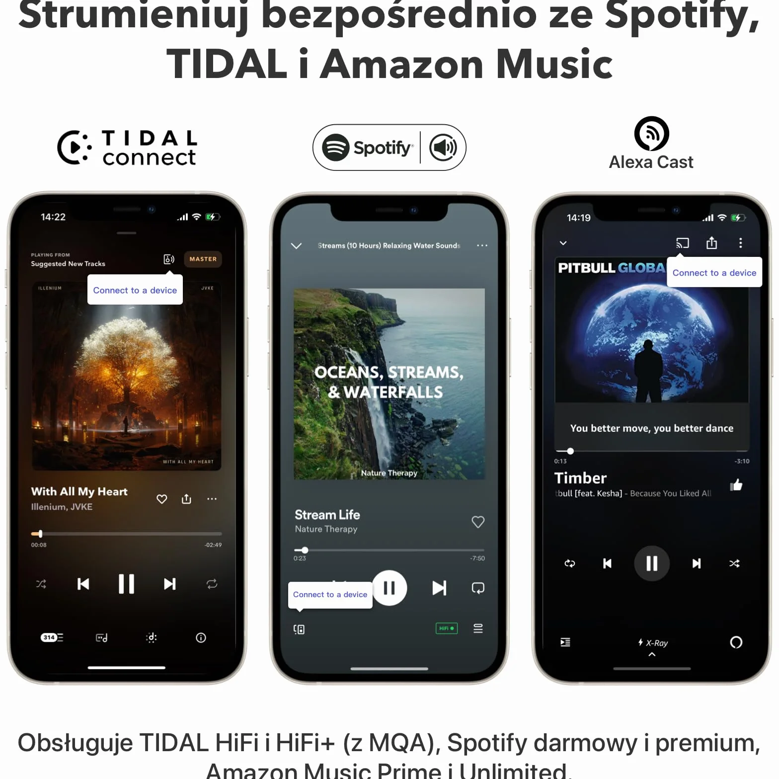 WiiM Pro – Odbiornik AirPlay 2, Google Cast Audio, Wielopokojowy Strumieniowy Oodtwarzacz Wi-Fi, Zgodny z Alexą, Siri i Asystentem Google (WiiM Pro Plus)