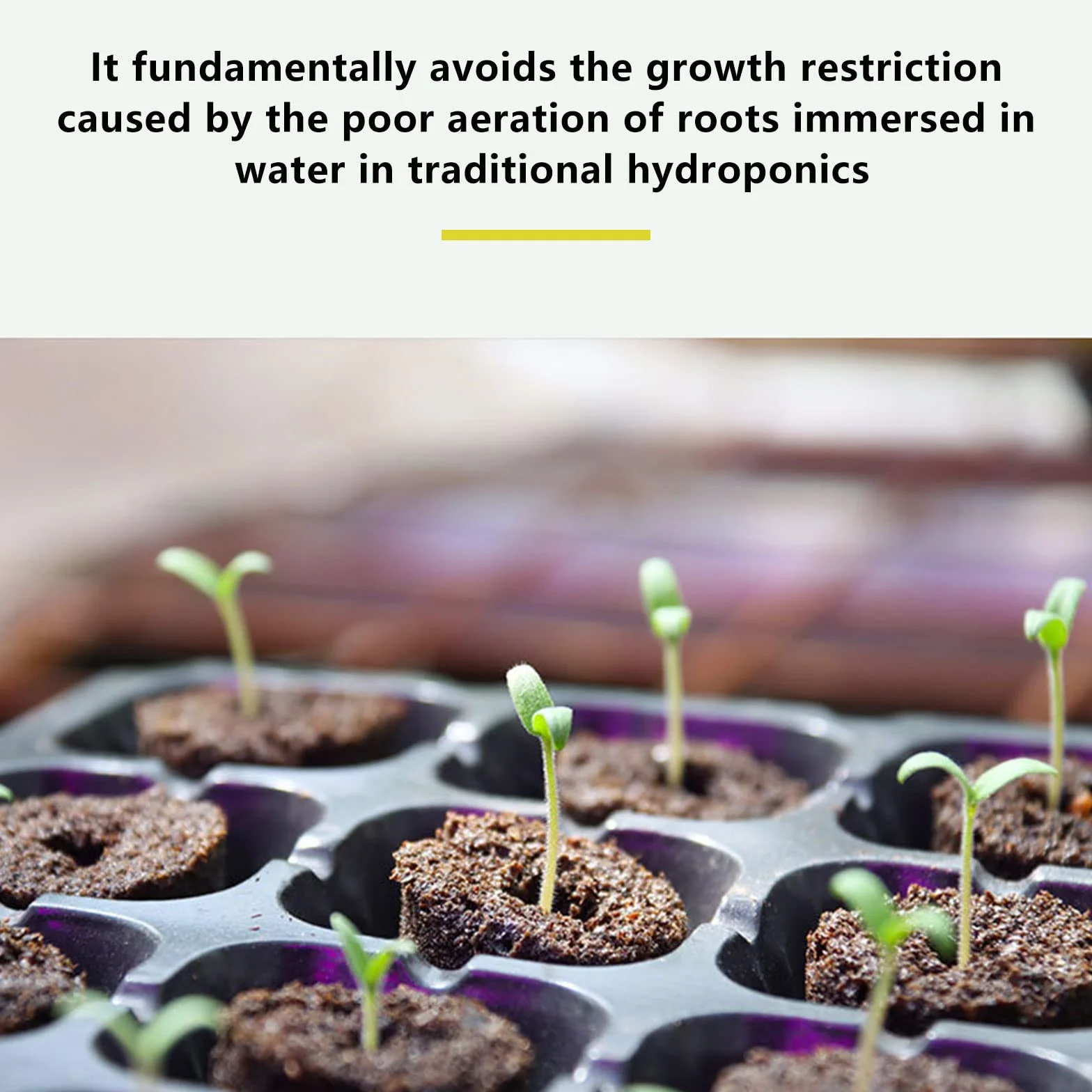 Zapasowe gąbki do uprawy AeroGarden, 50 gąbek hydroponicznych i 50 etykiet na doniczki z nasionami, naklejki hydroponiczne, kapsułki startowe, gąbki zastępcze do wzrostu korzeni, kompatybilne z